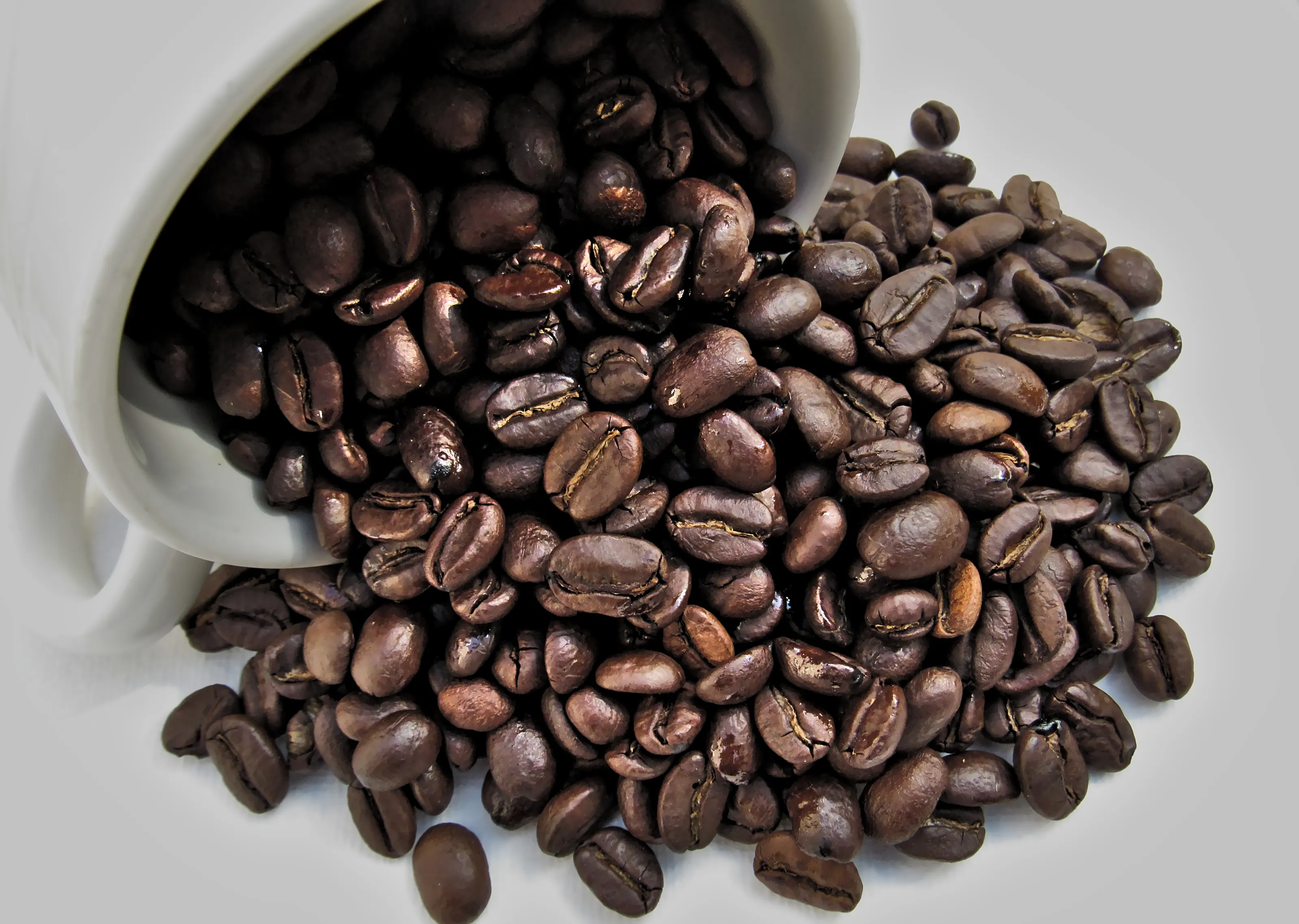Whole Coffee Beans