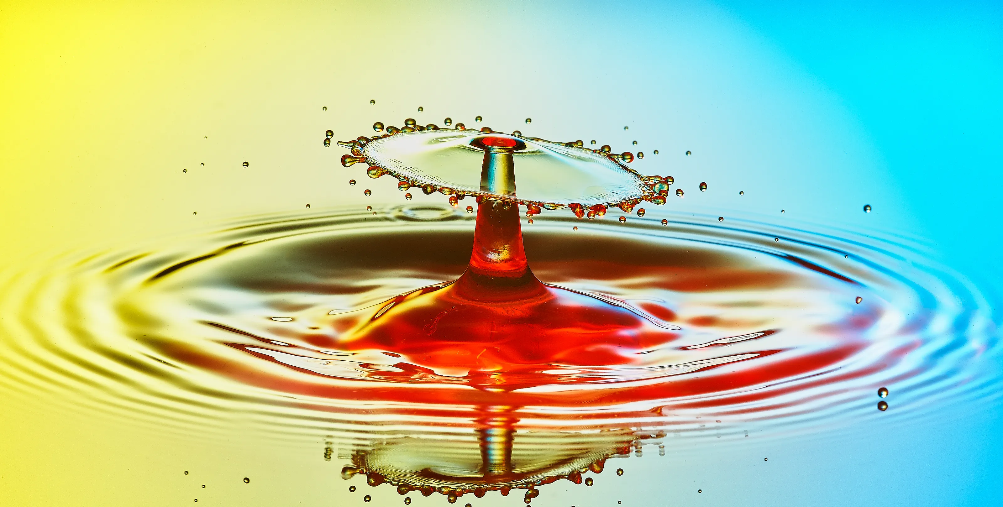 Liquid