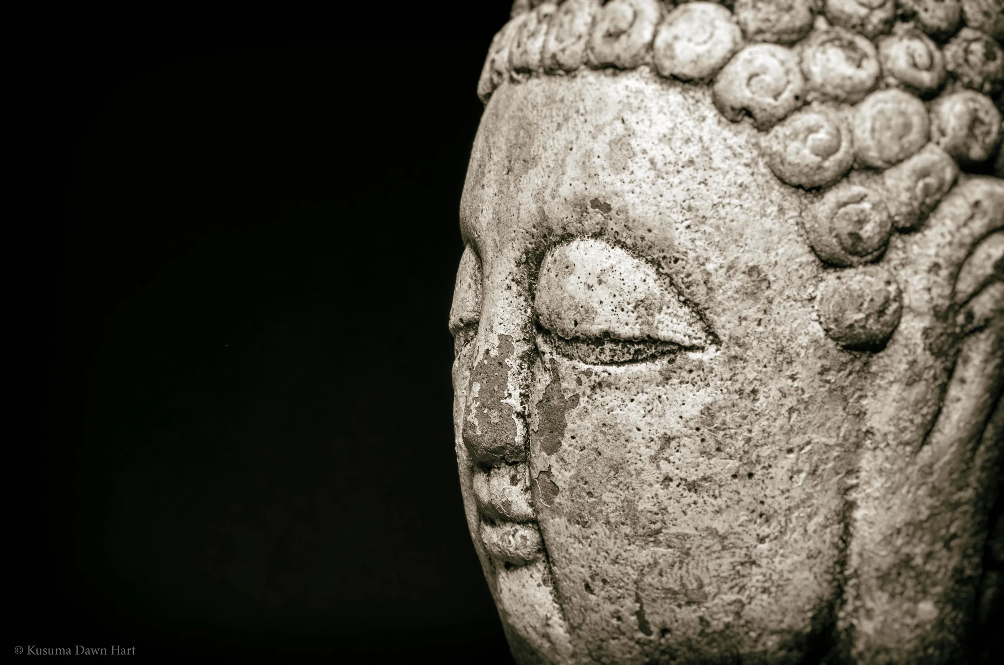 Buddhas and Bodhisattvas