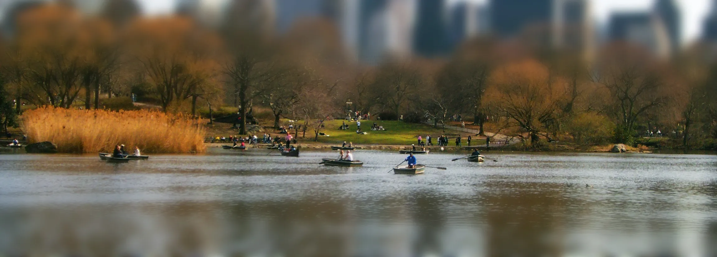 Tilt-shift effect in Autumn