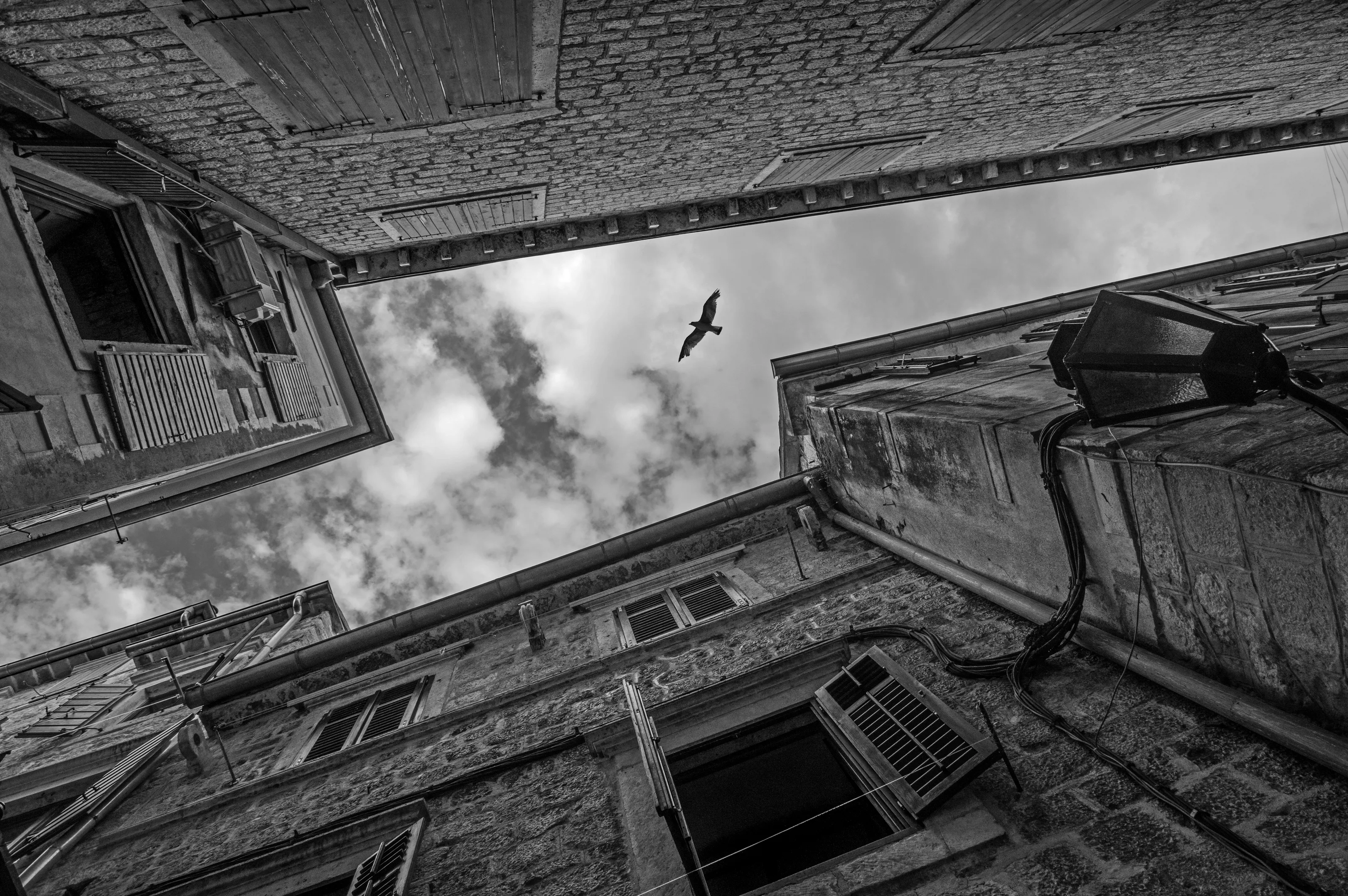 Looking Up