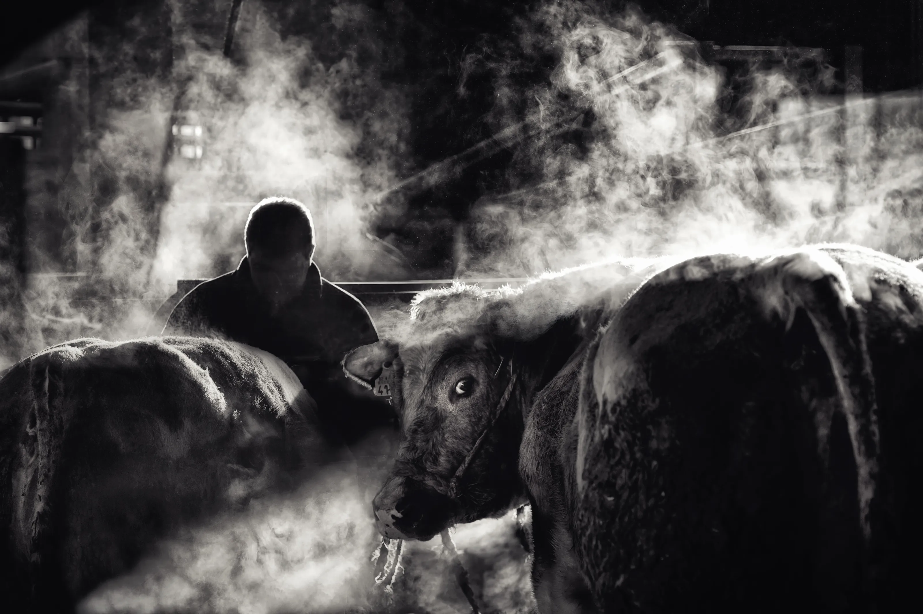 Down On The Farm
