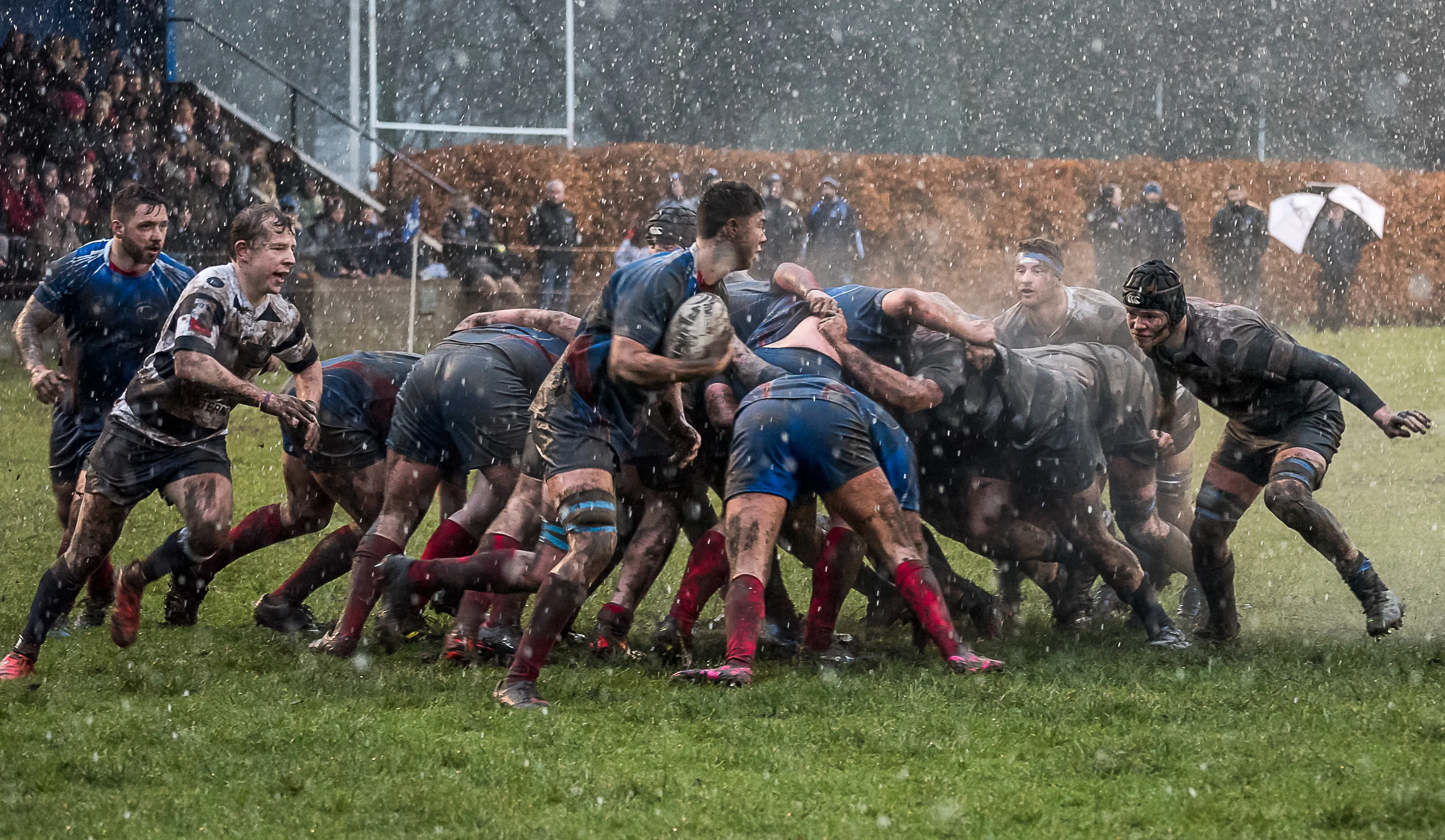 Rugby