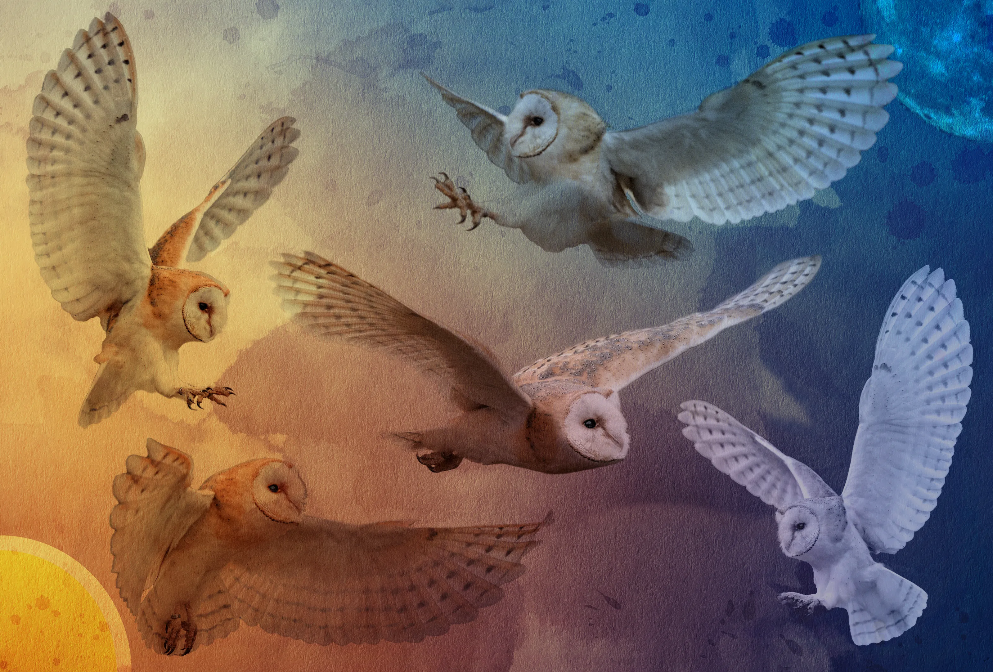 Creative Composites