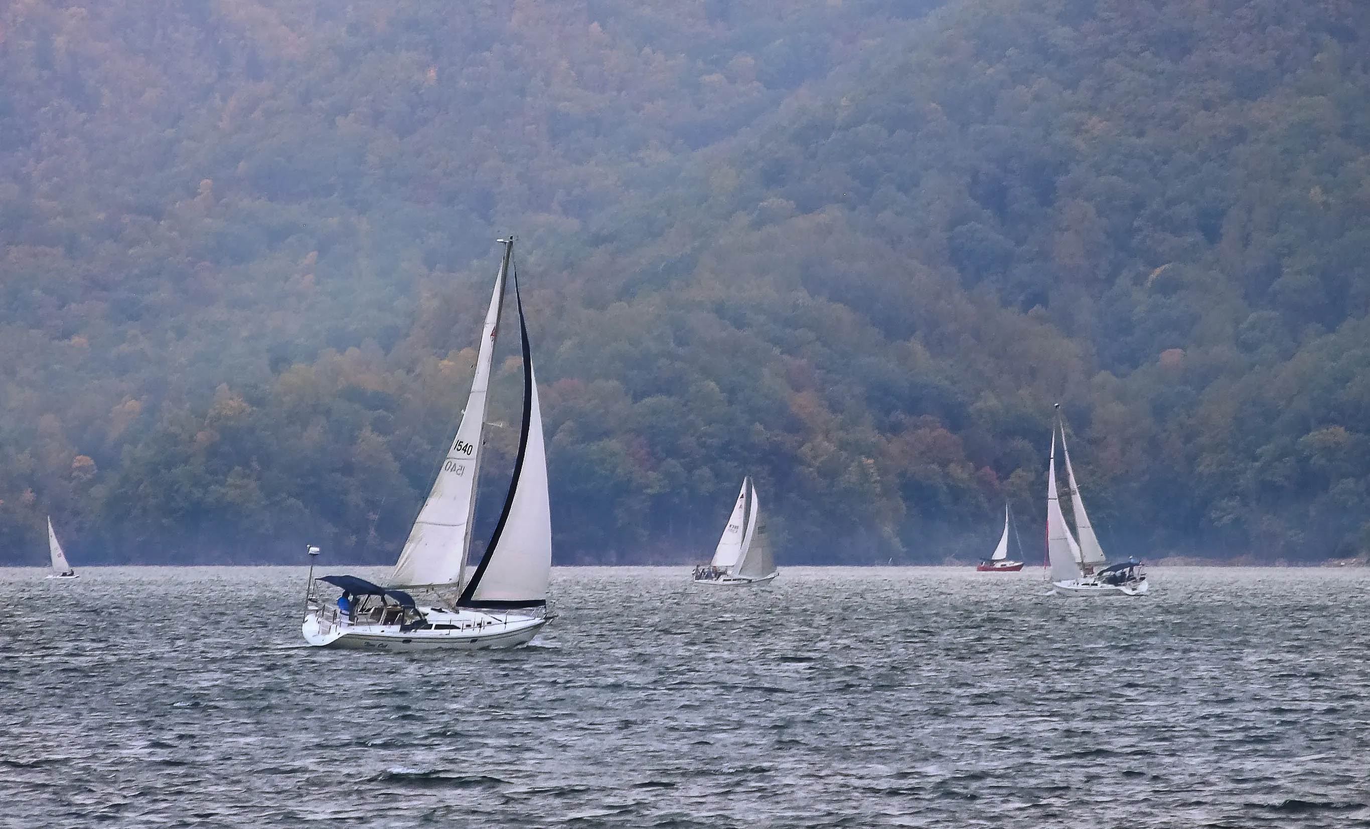 Boats in Water
