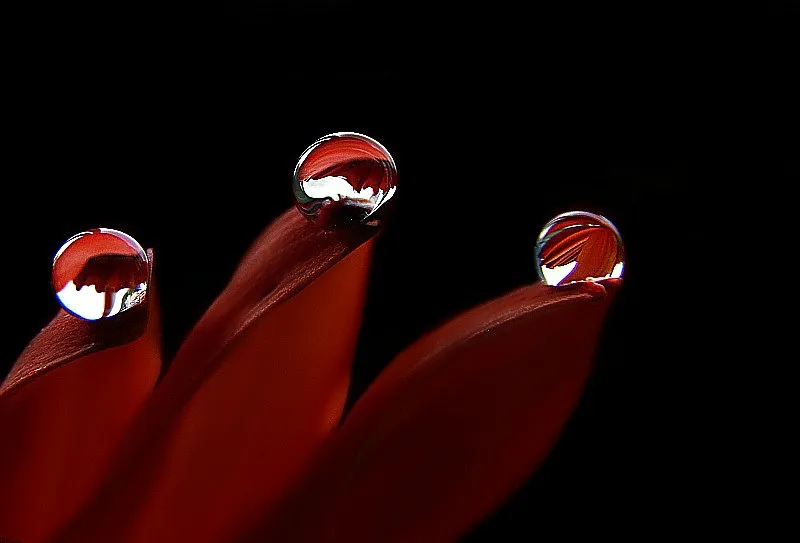 On a Black Background