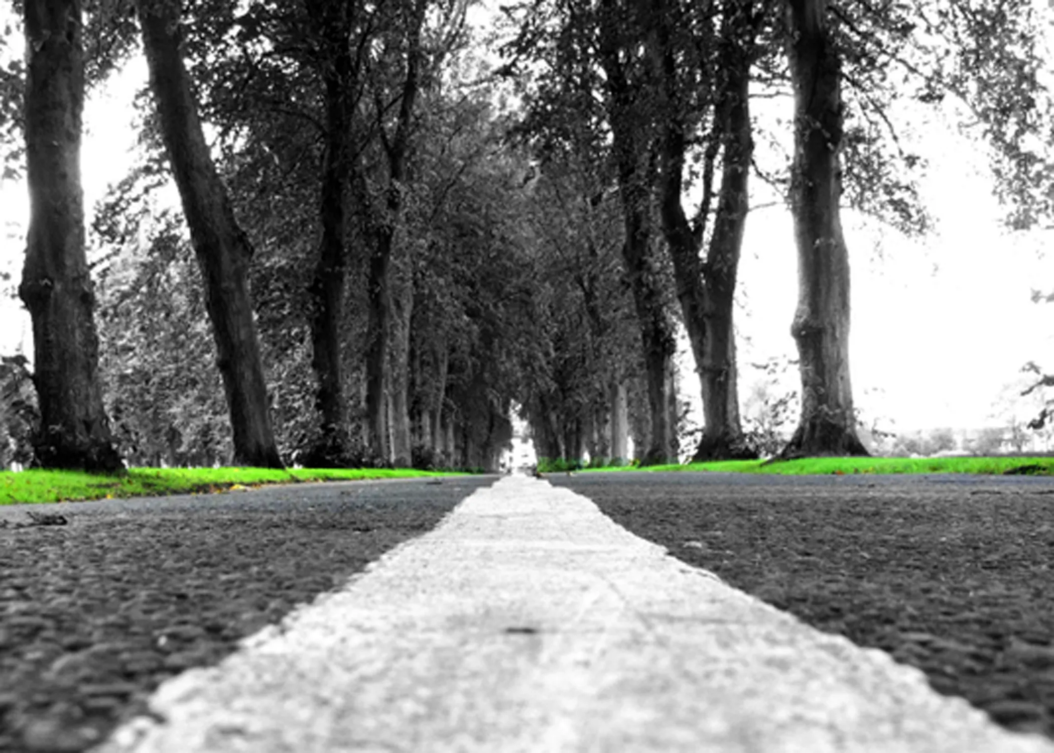 Single Selective Colour