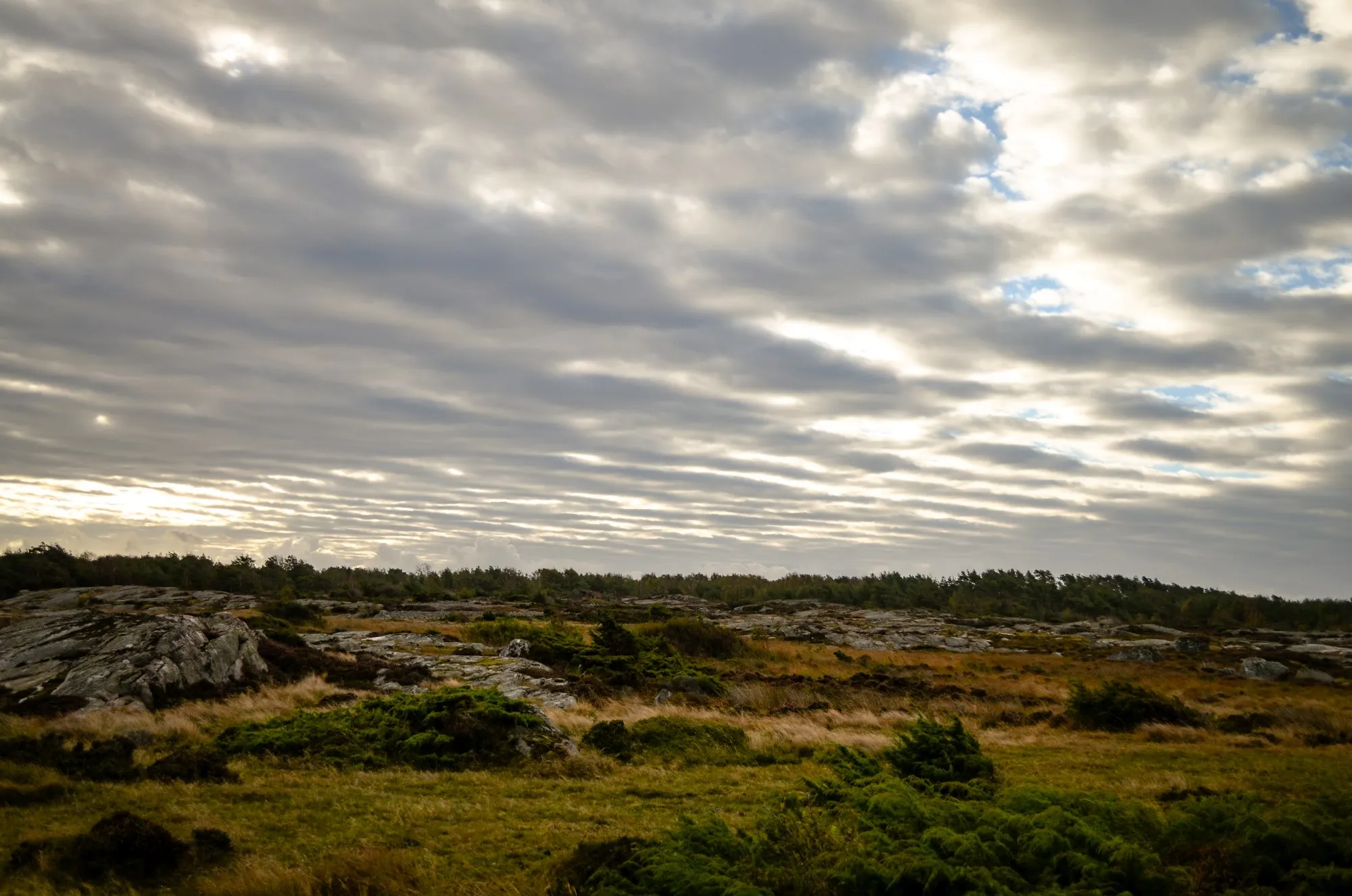 Wilderness (no people)