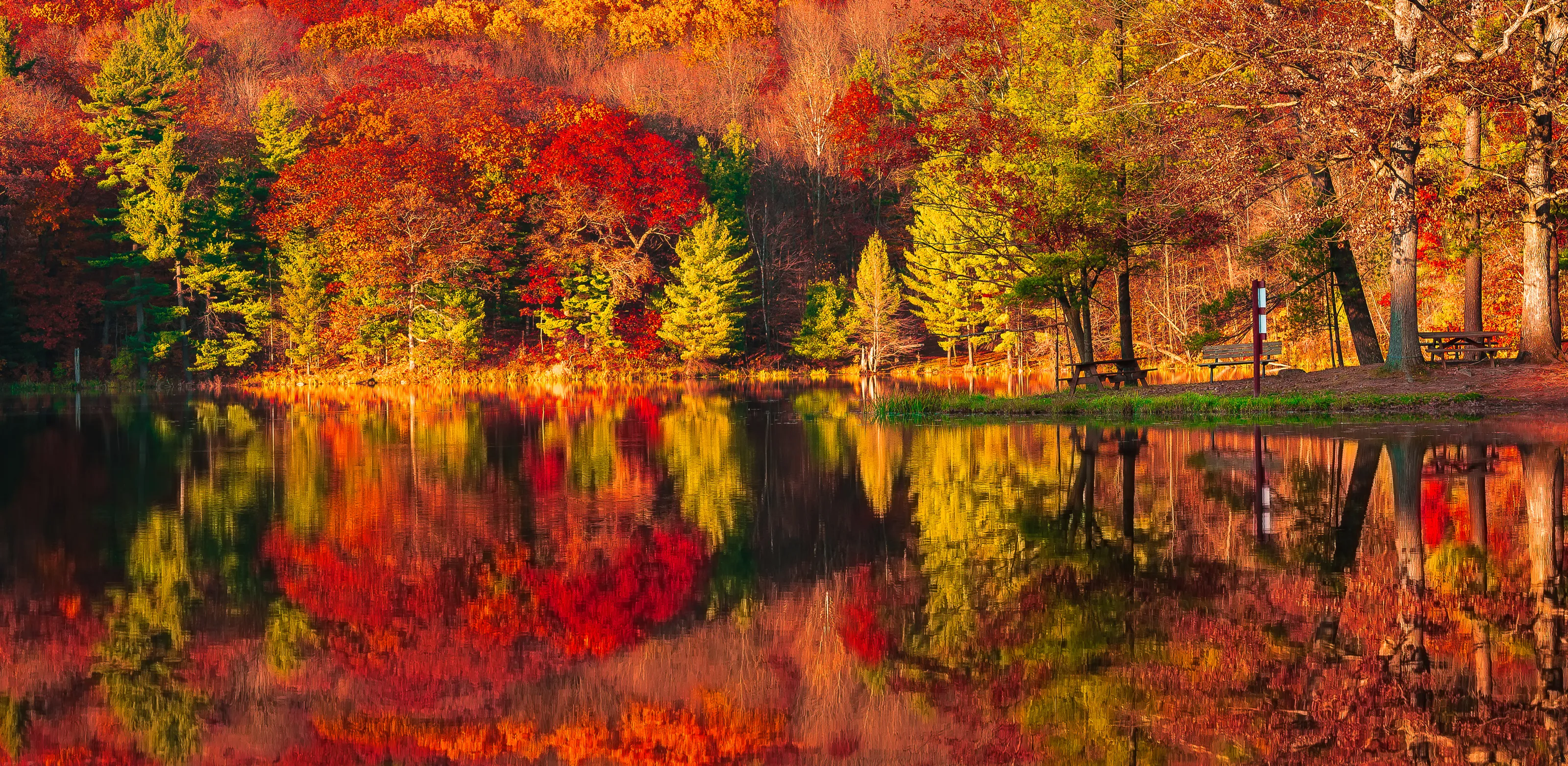 Autumn Colours