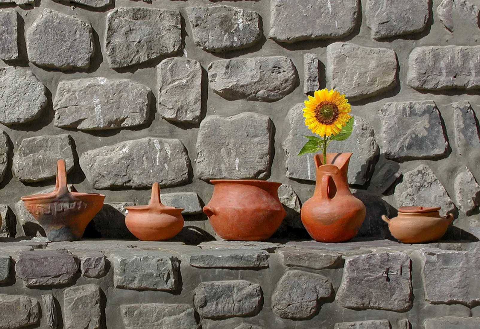 Terracotta Pots