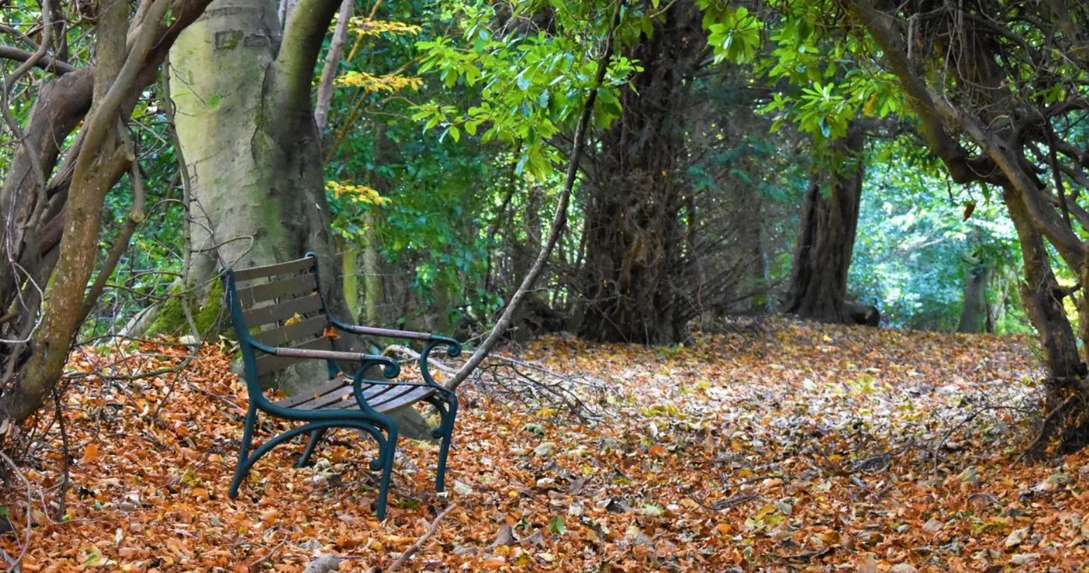 Sit a While - An Empty Bench