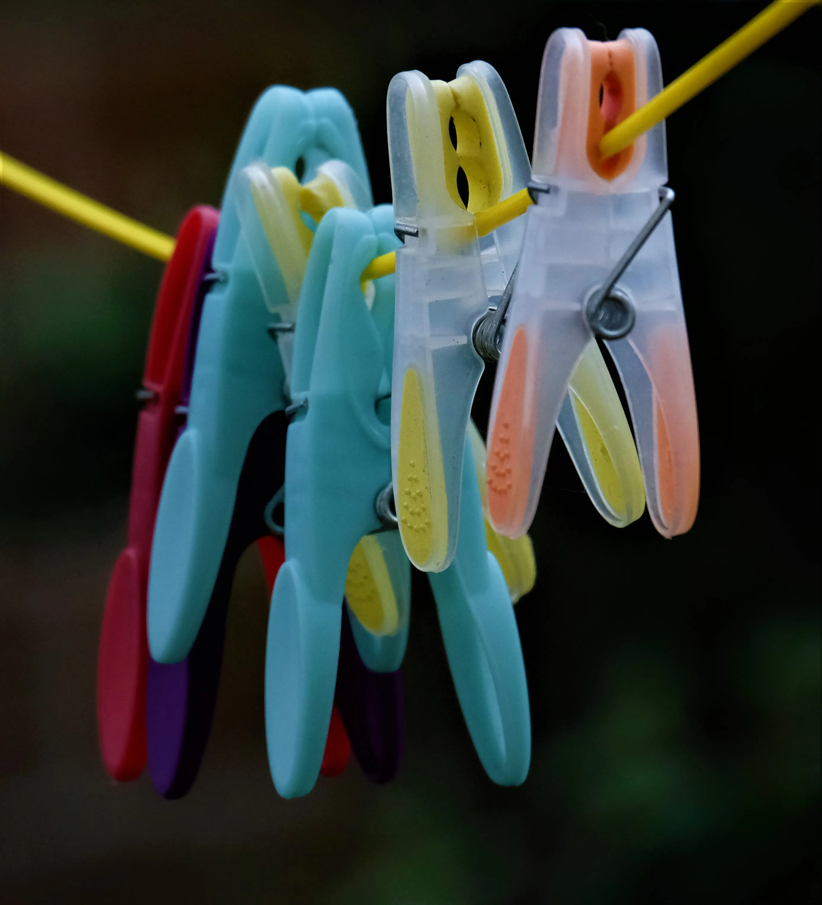 Objects with Simple Beauty