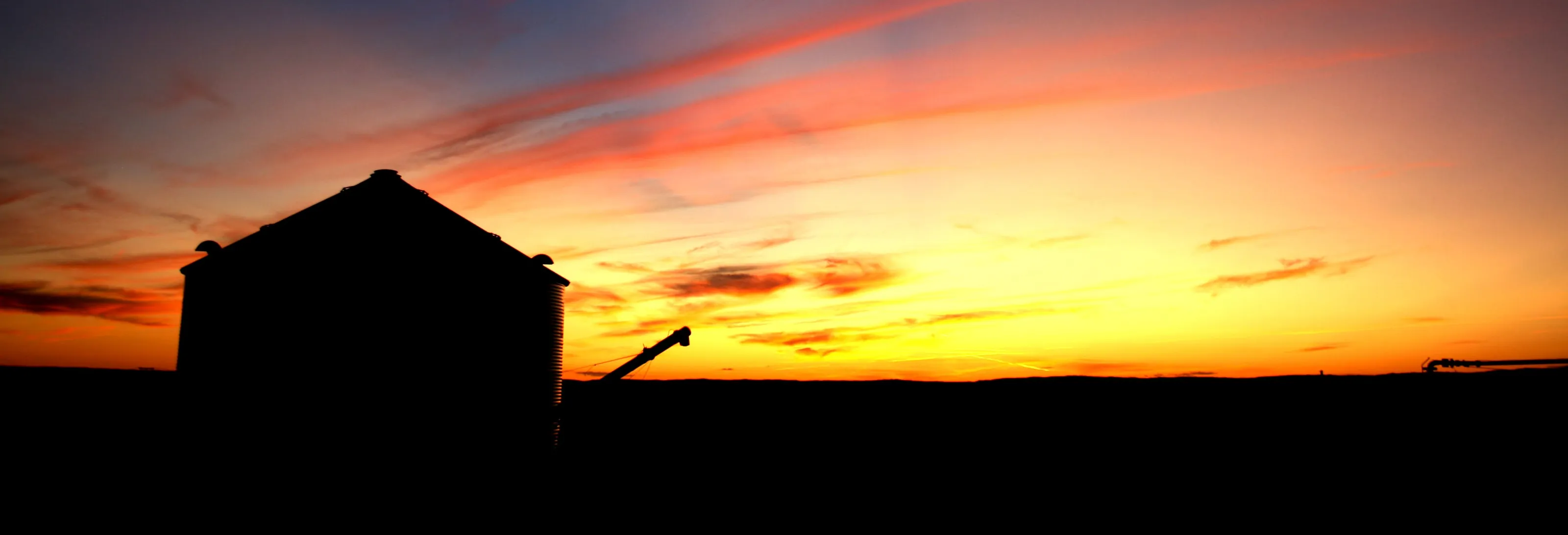 Silhouettes