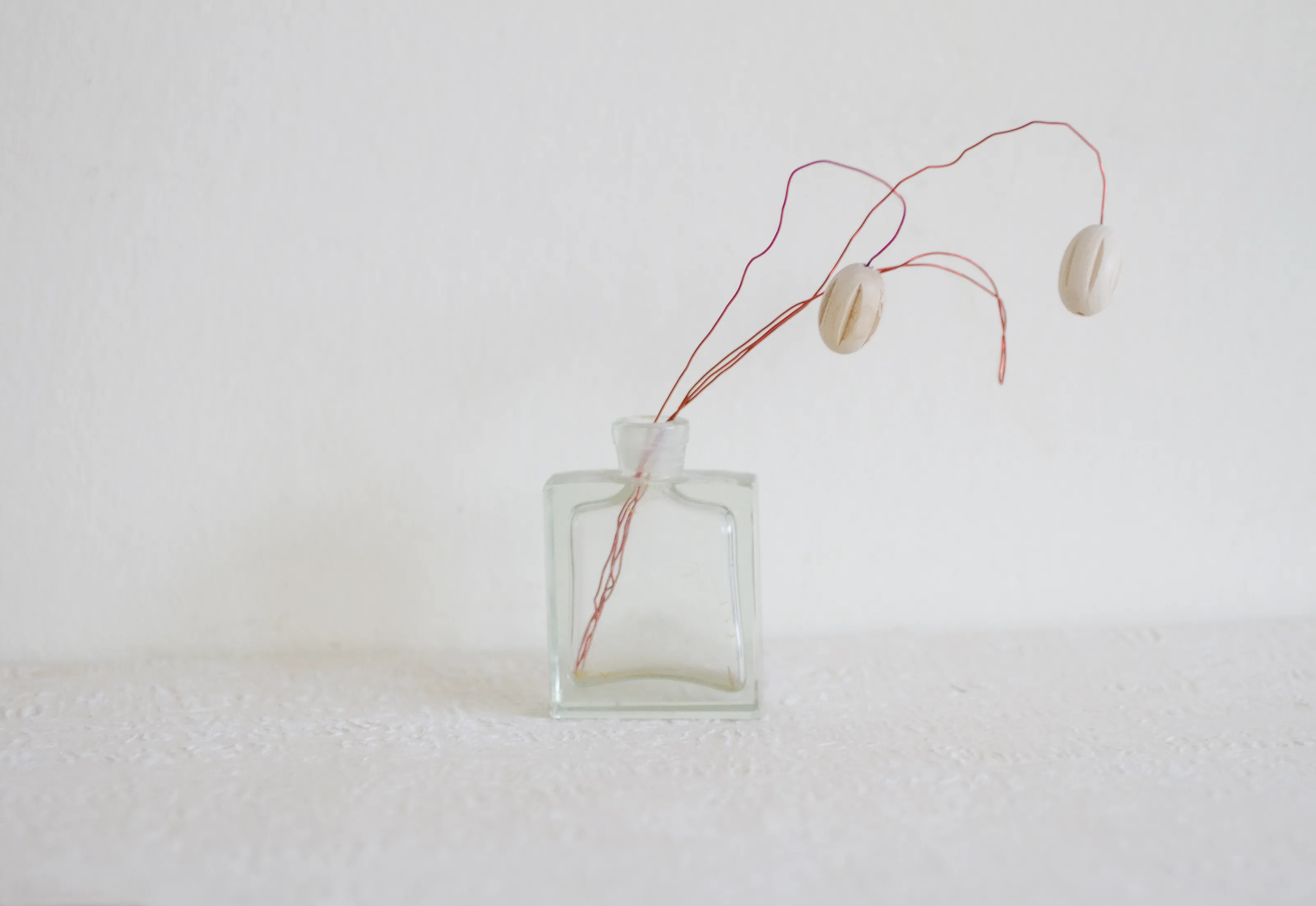 Minimalism in Still Life