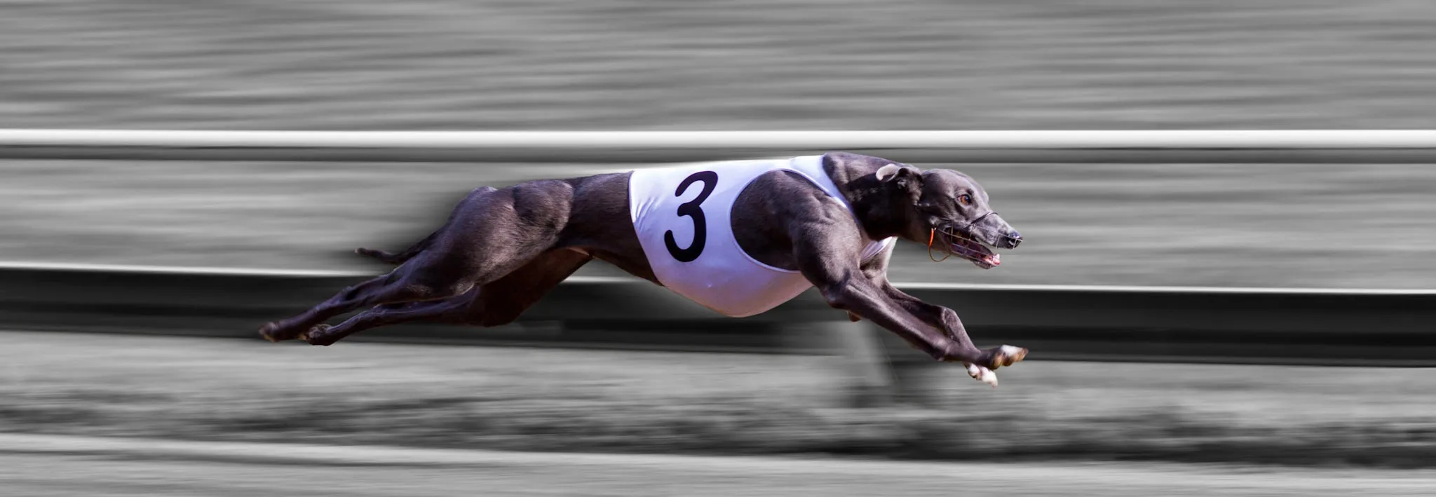 Panning