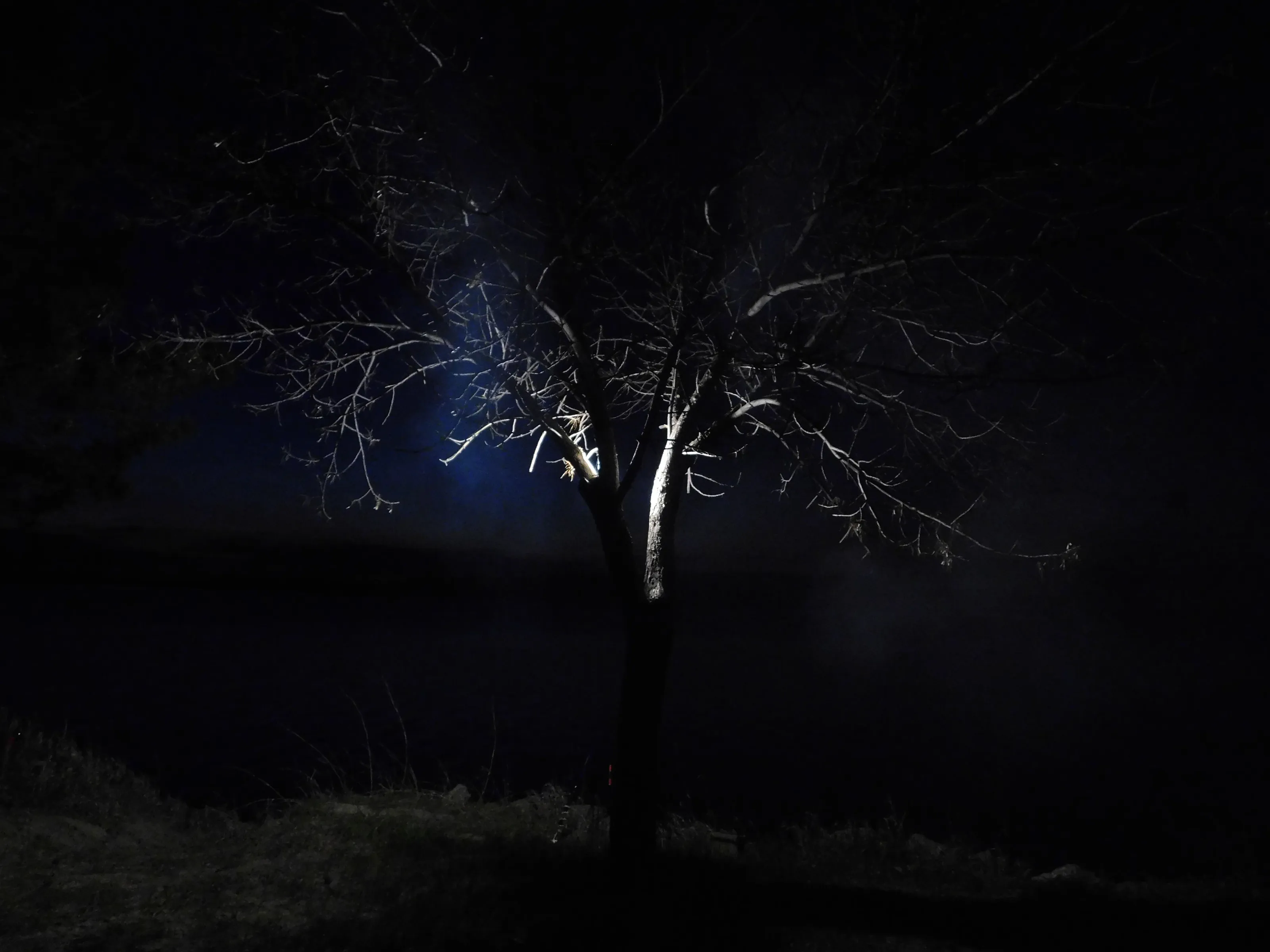 The Darker Side Of Beauty