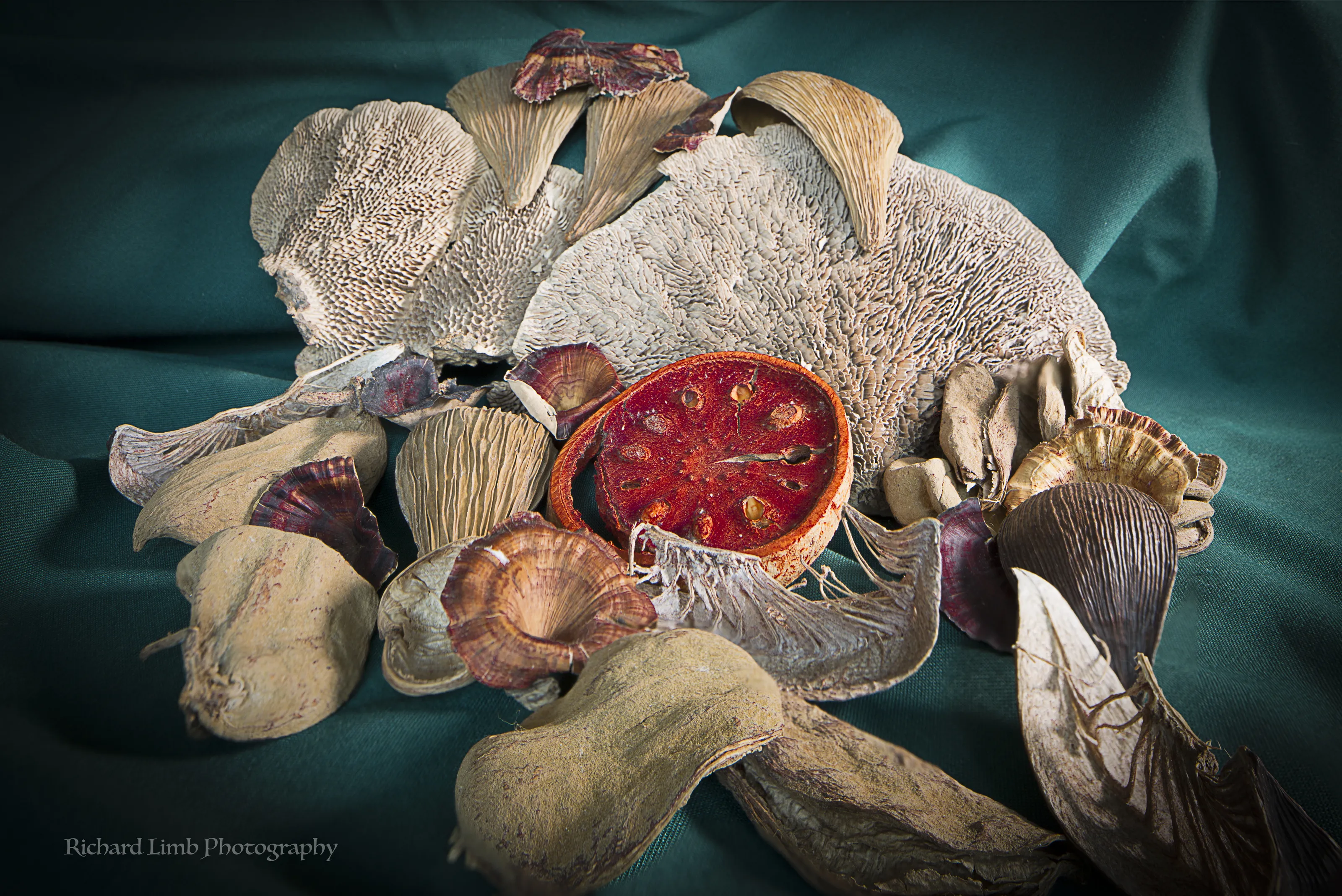 Dried Vegetables (In Colour and No people)