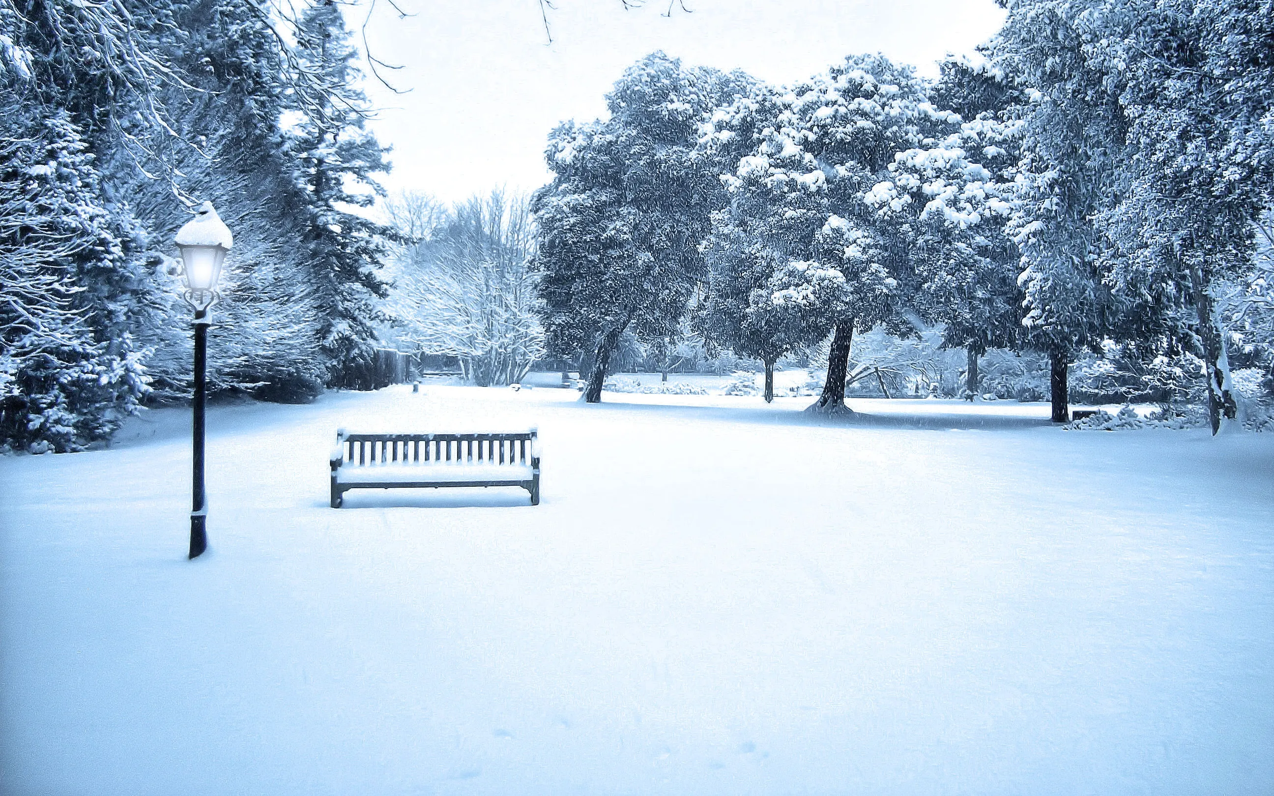 Let it snow!