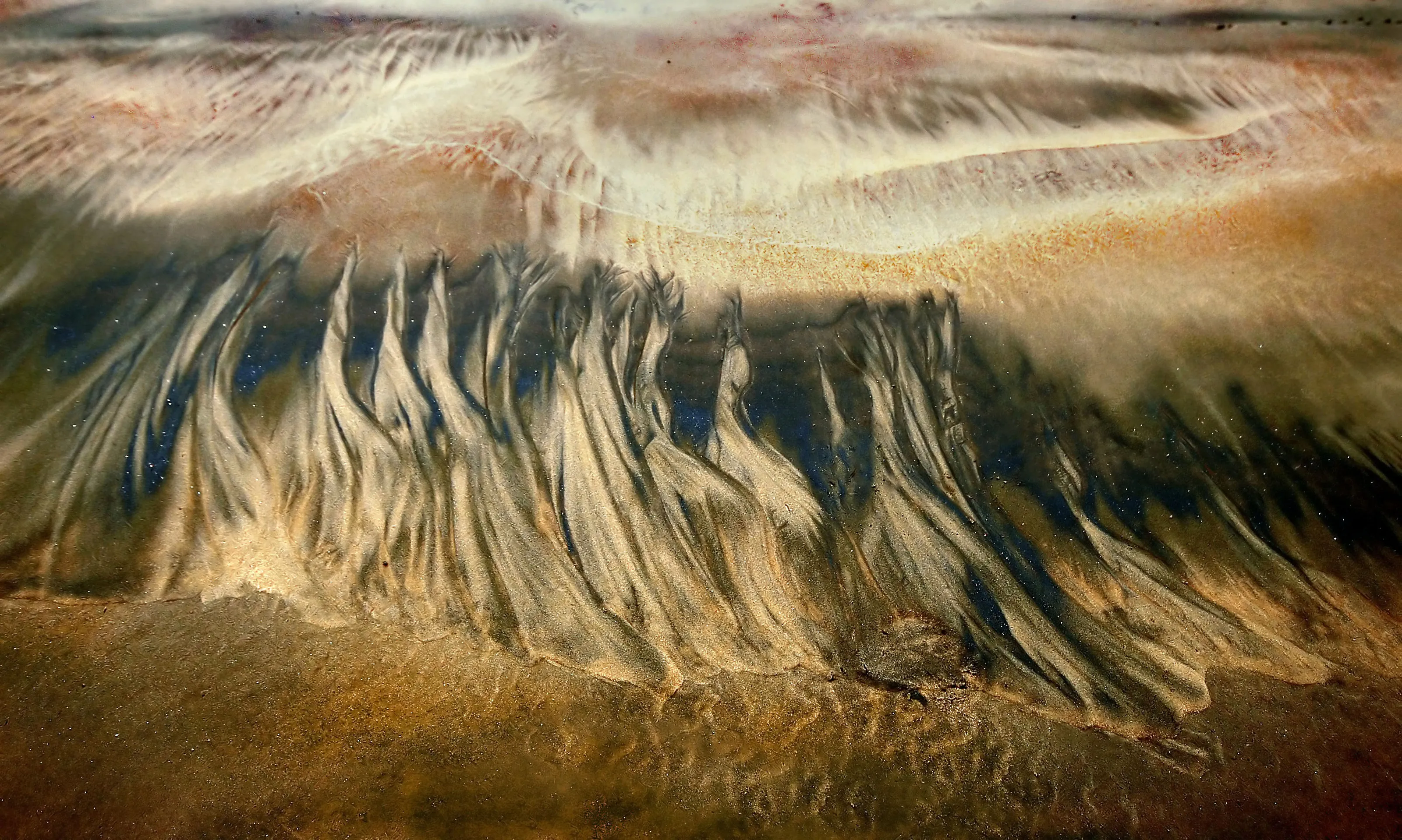 Forms in nature