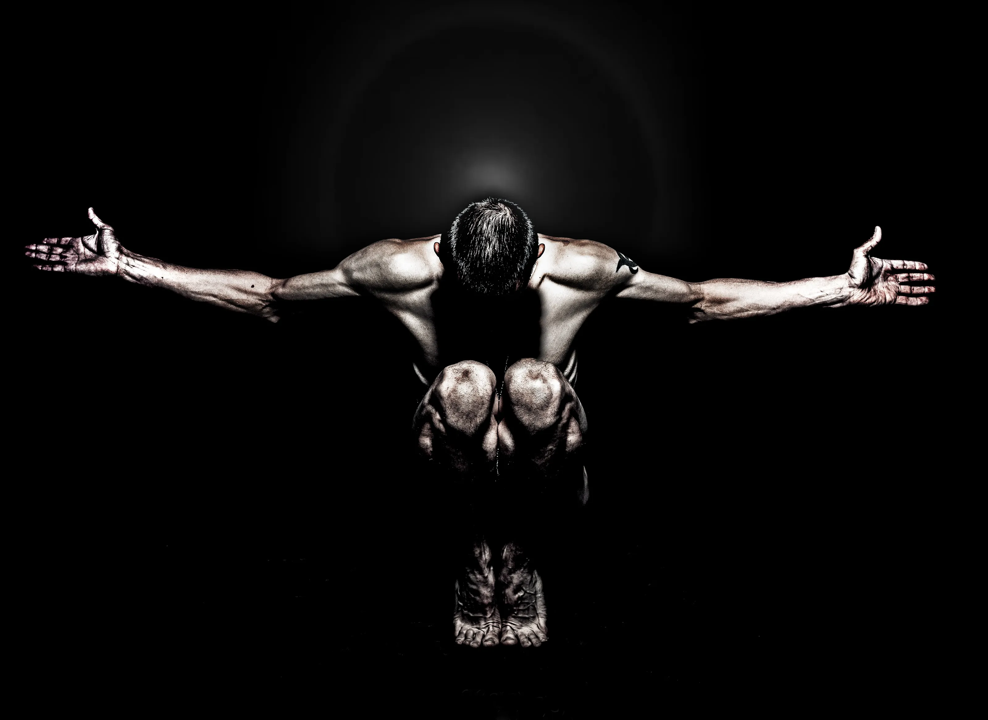 The Male Physique (No Animals)