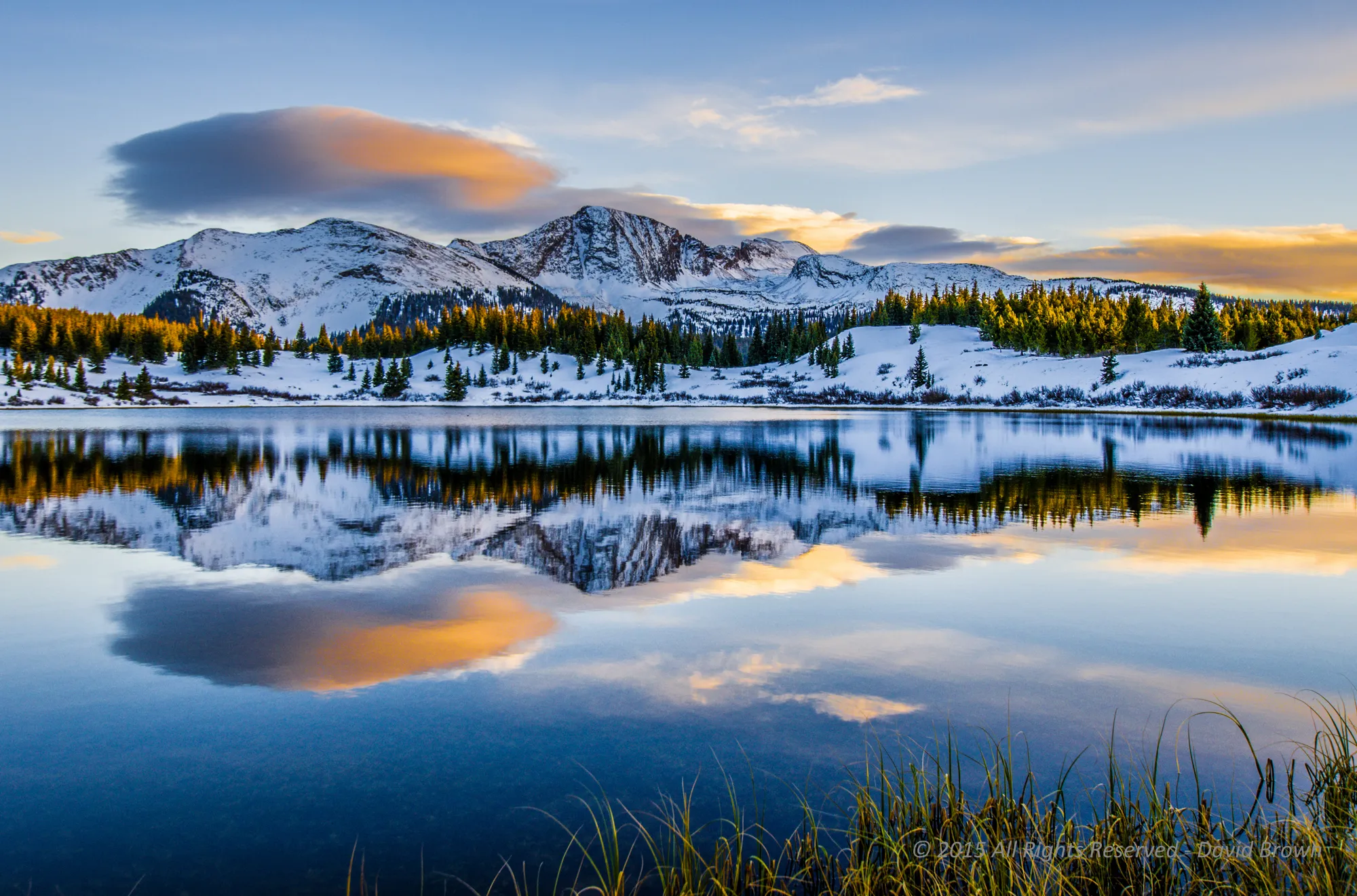 Snow Scenes