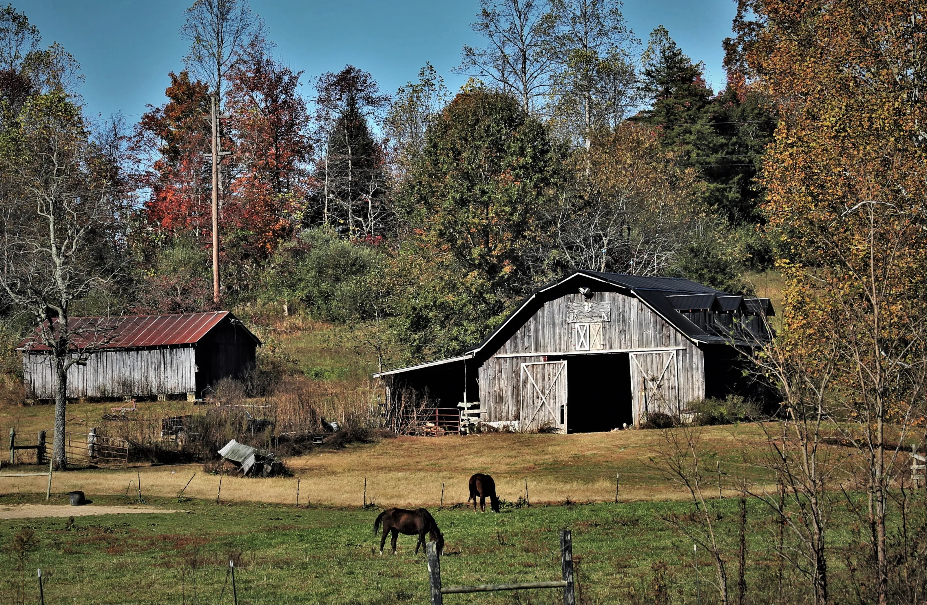 Unpainted Barns (no people)
