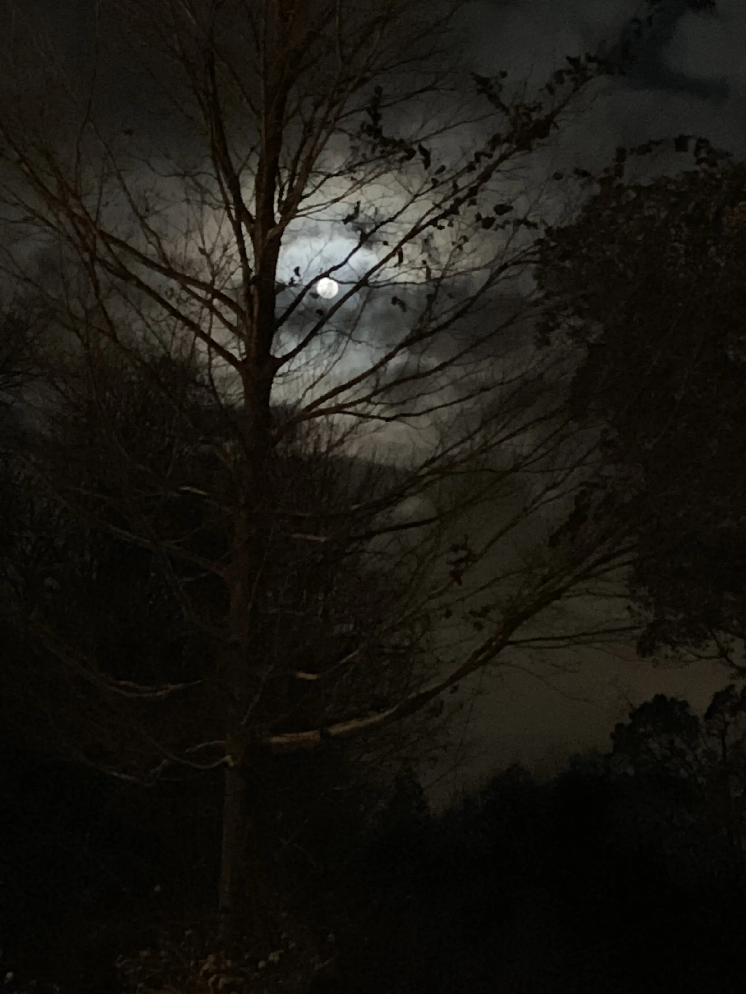 Spooky, Scary or Creepy