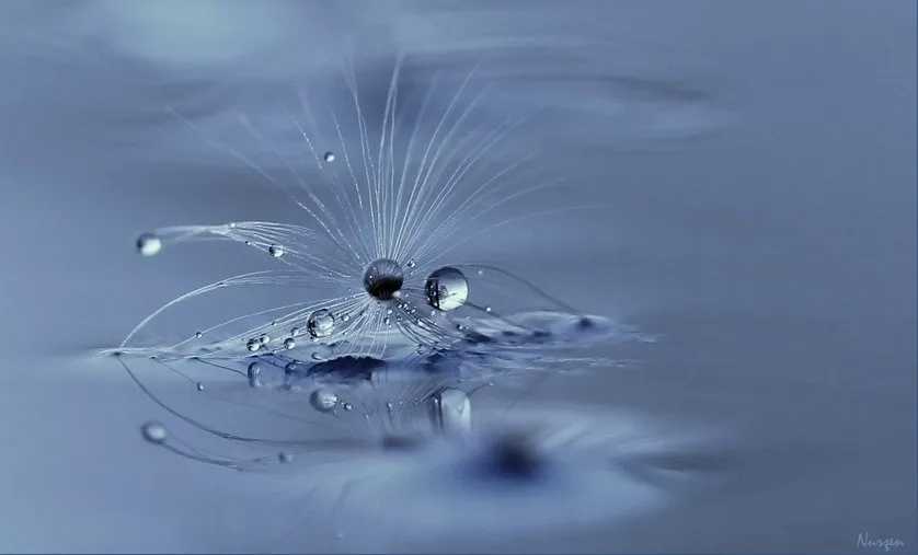 Liquid Drops