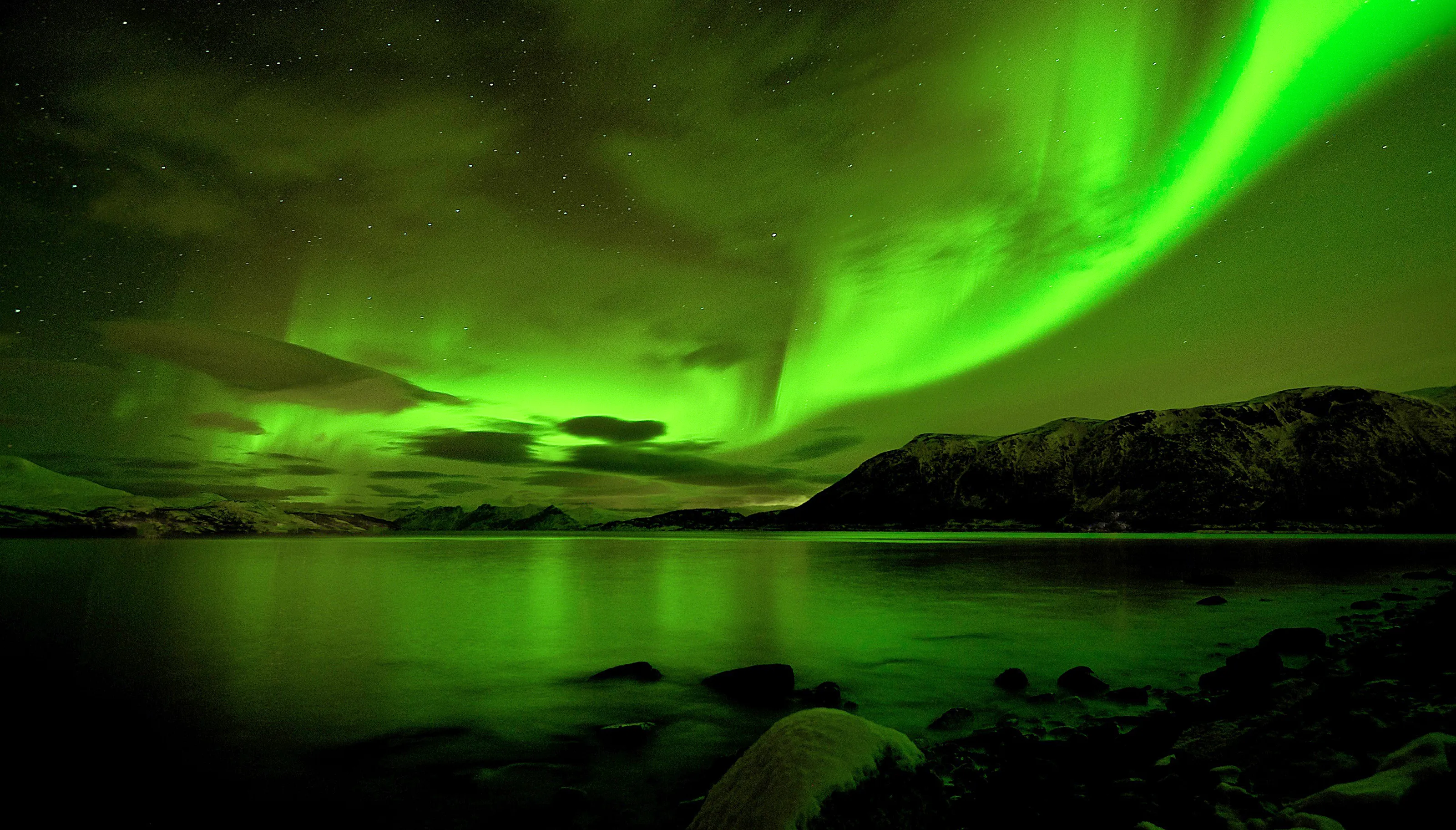 The night sky