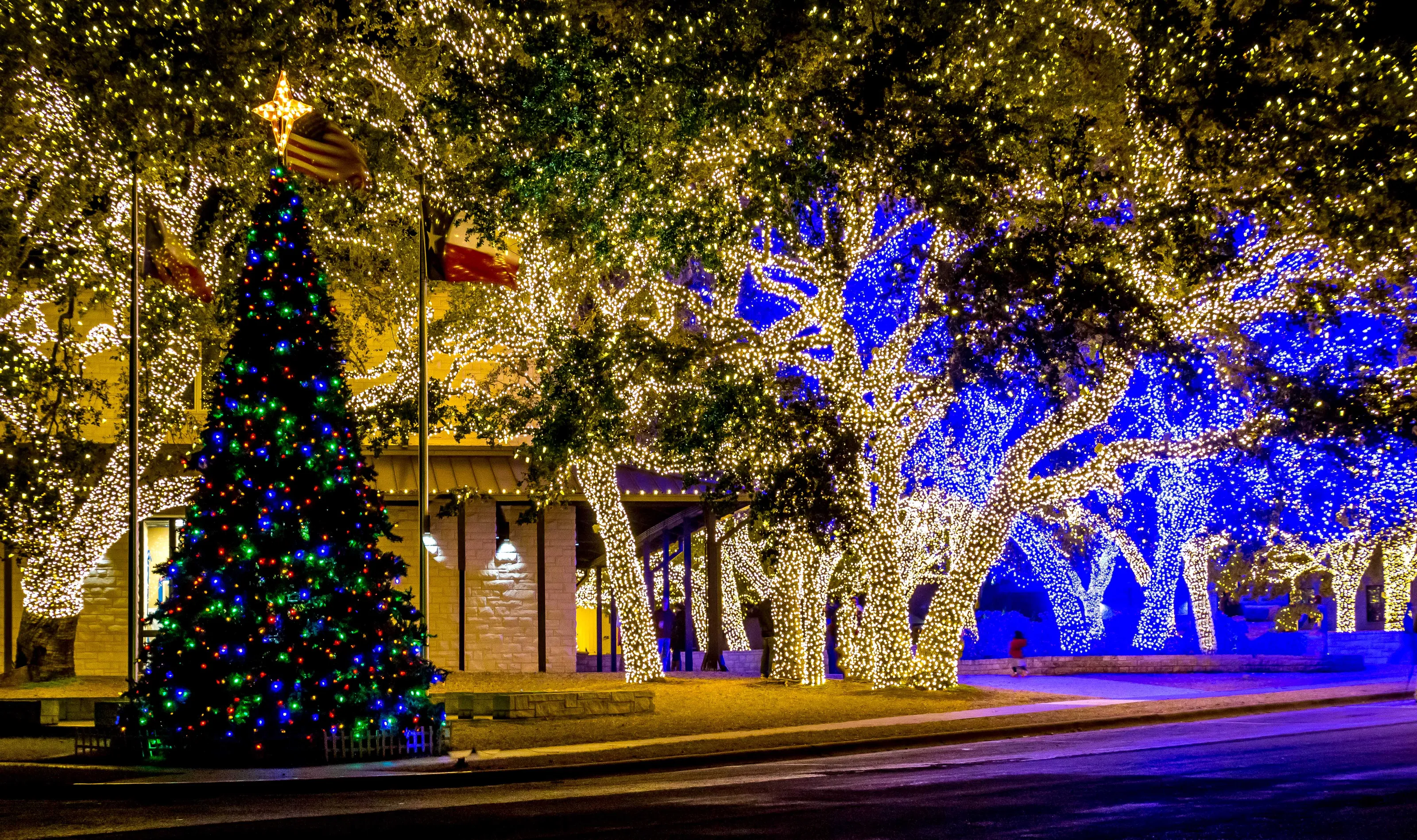 Outdoor Christmas Lights in Colour