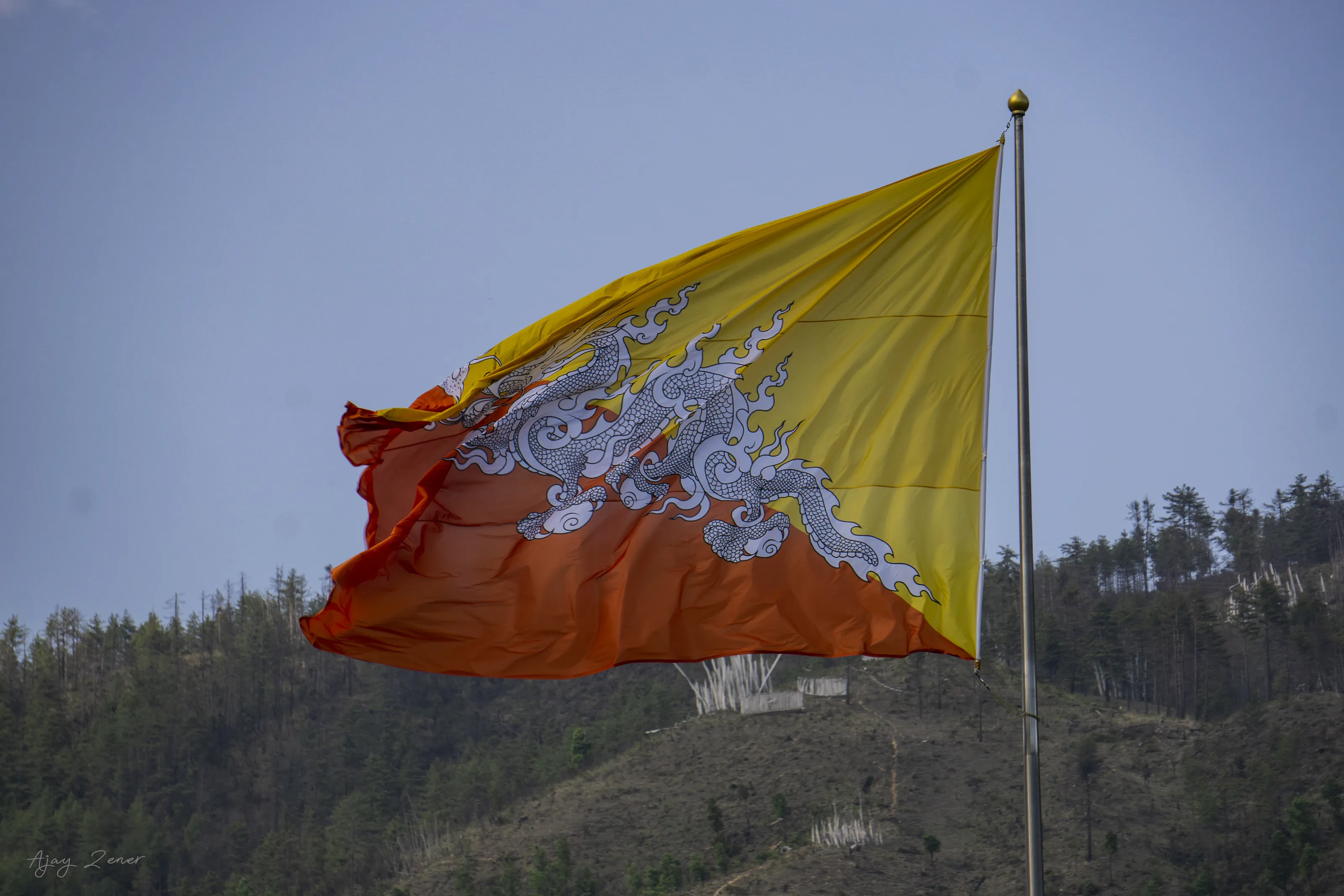 Flags