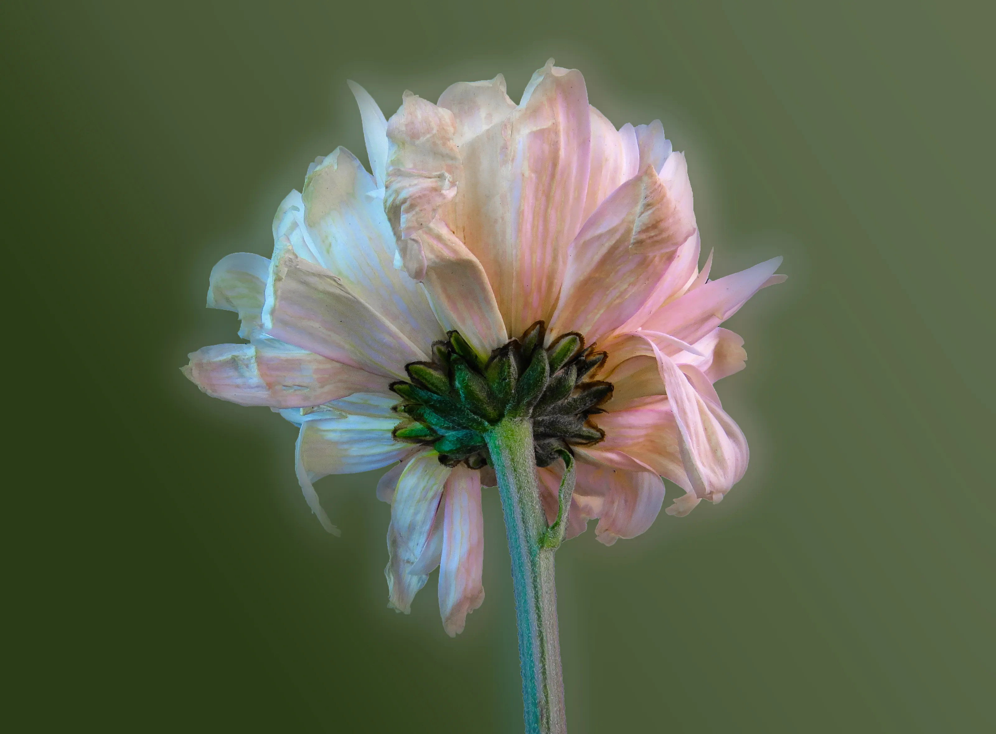 Imperfection