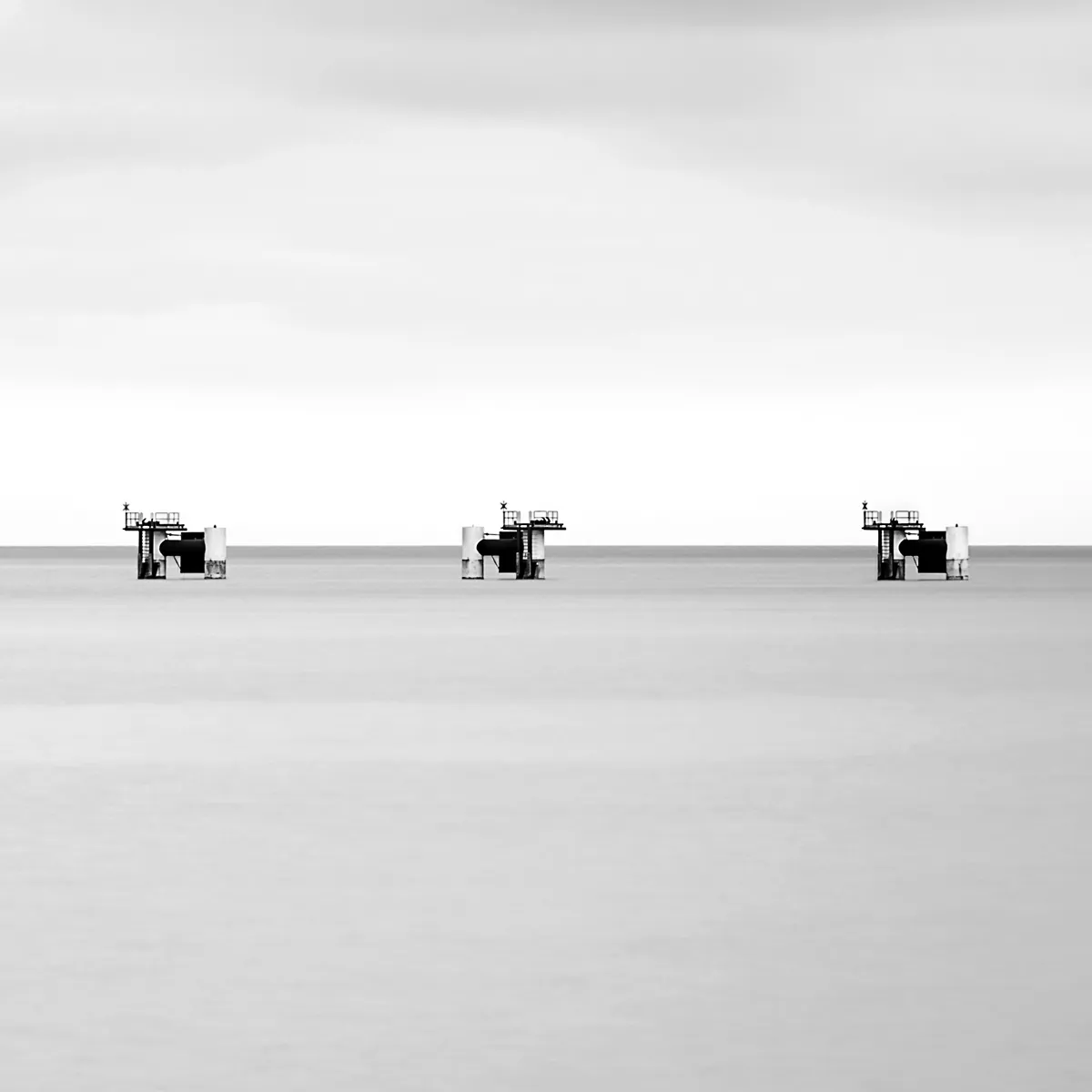 Square Format in Black and White