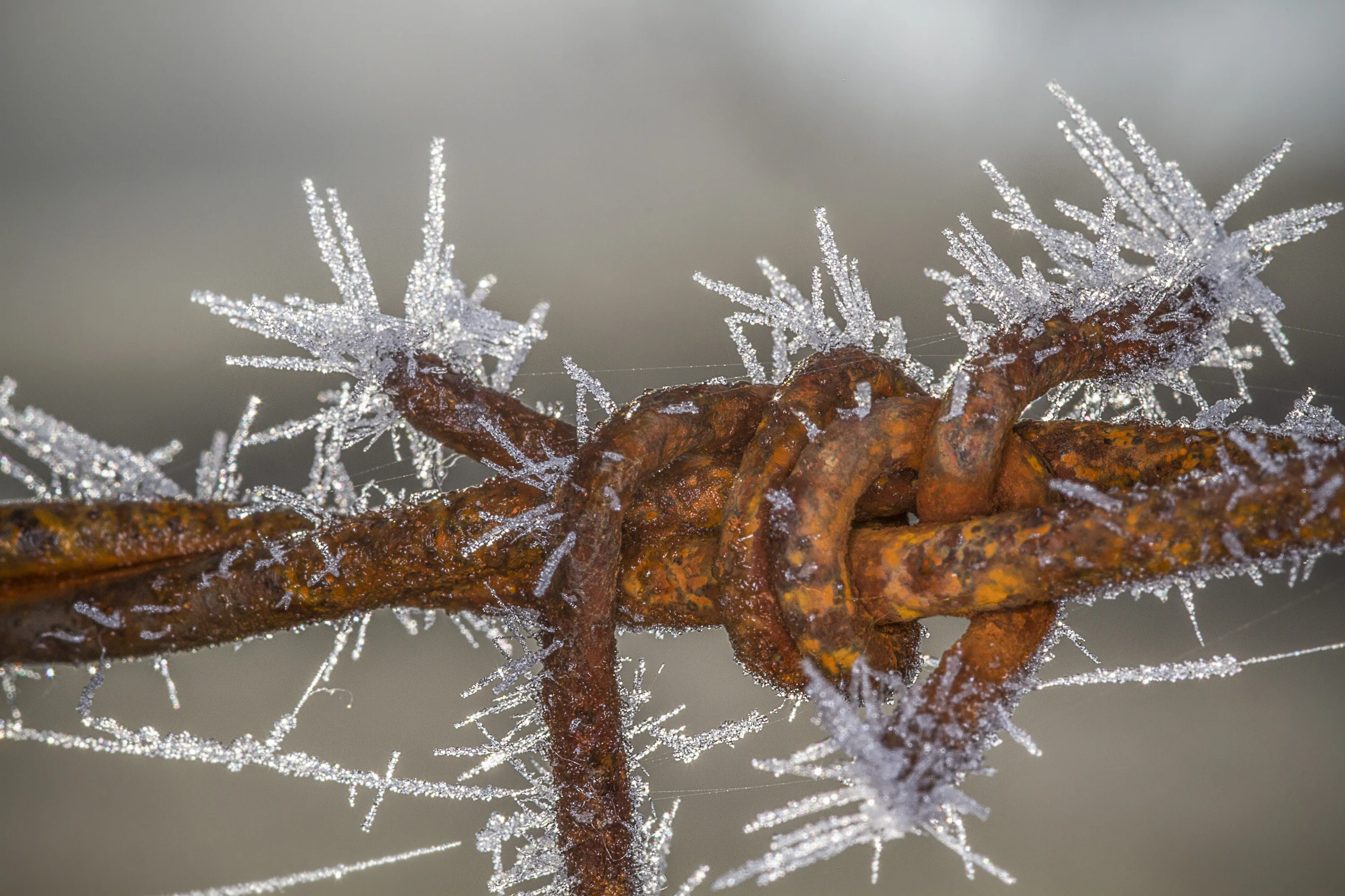 Rust in Colour (no people)