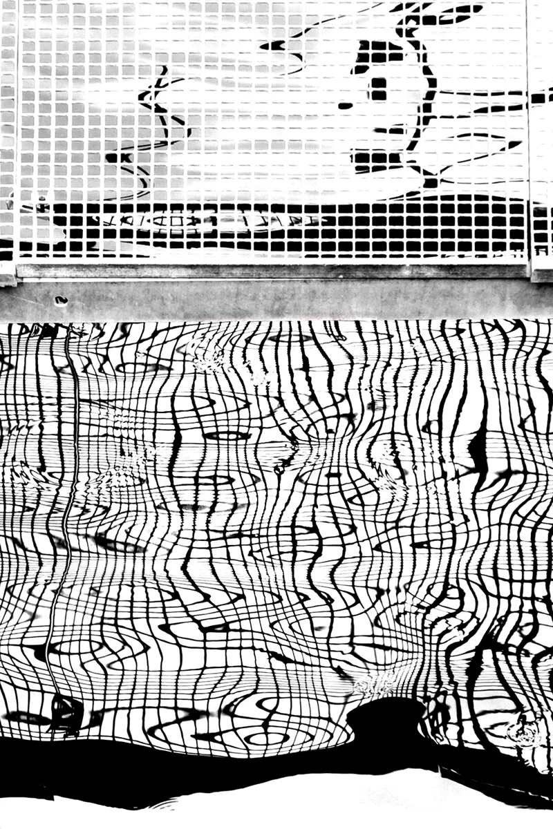 Reflections in Black and White