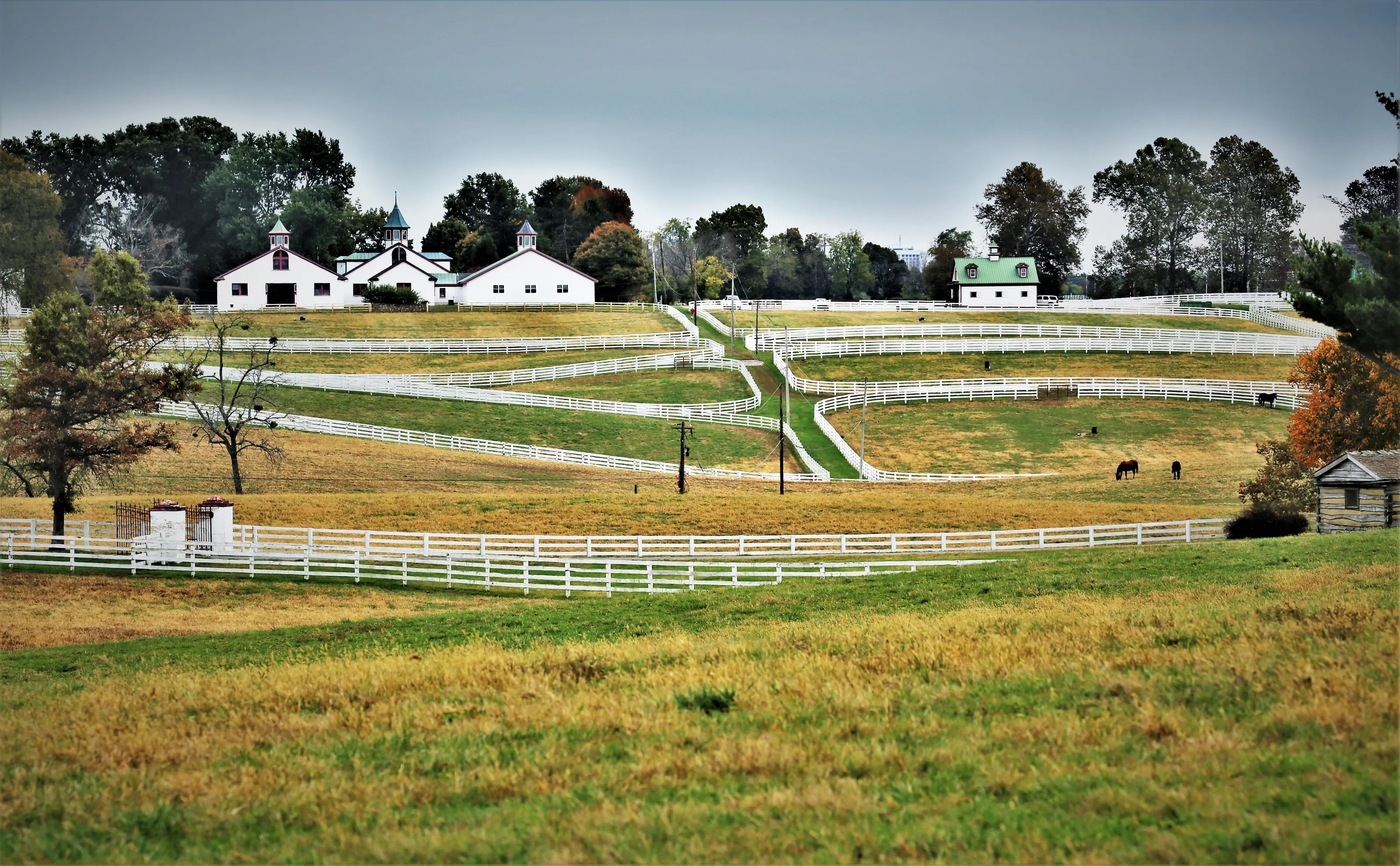 Scenic Fences