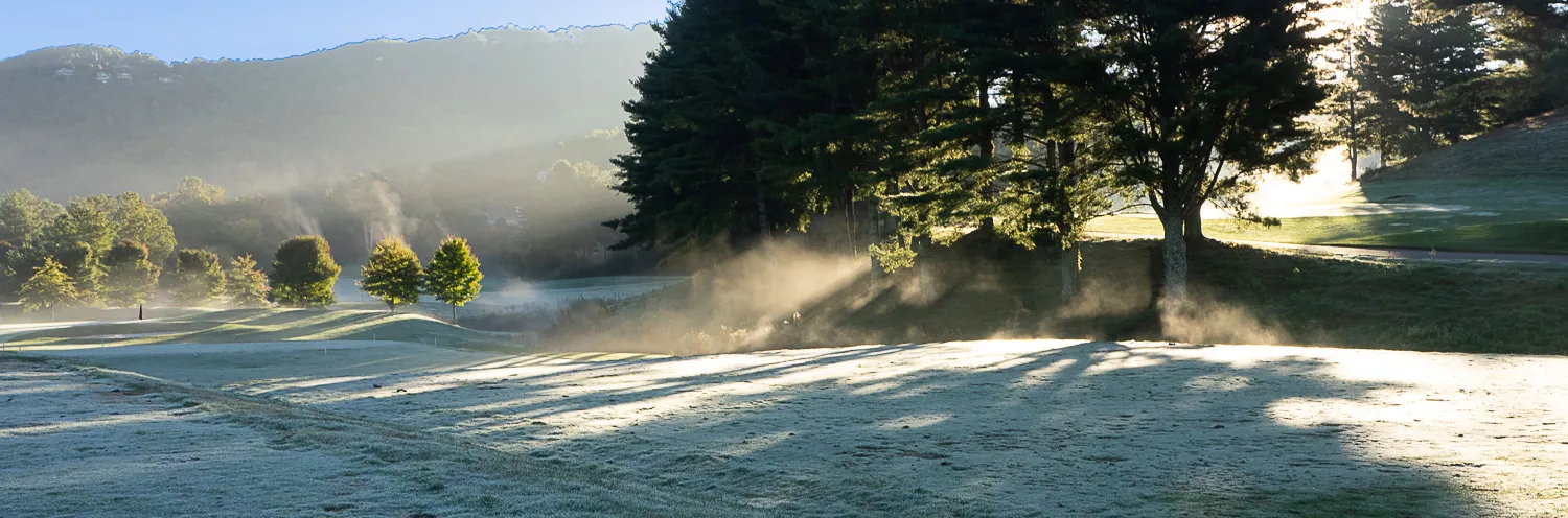 Frost