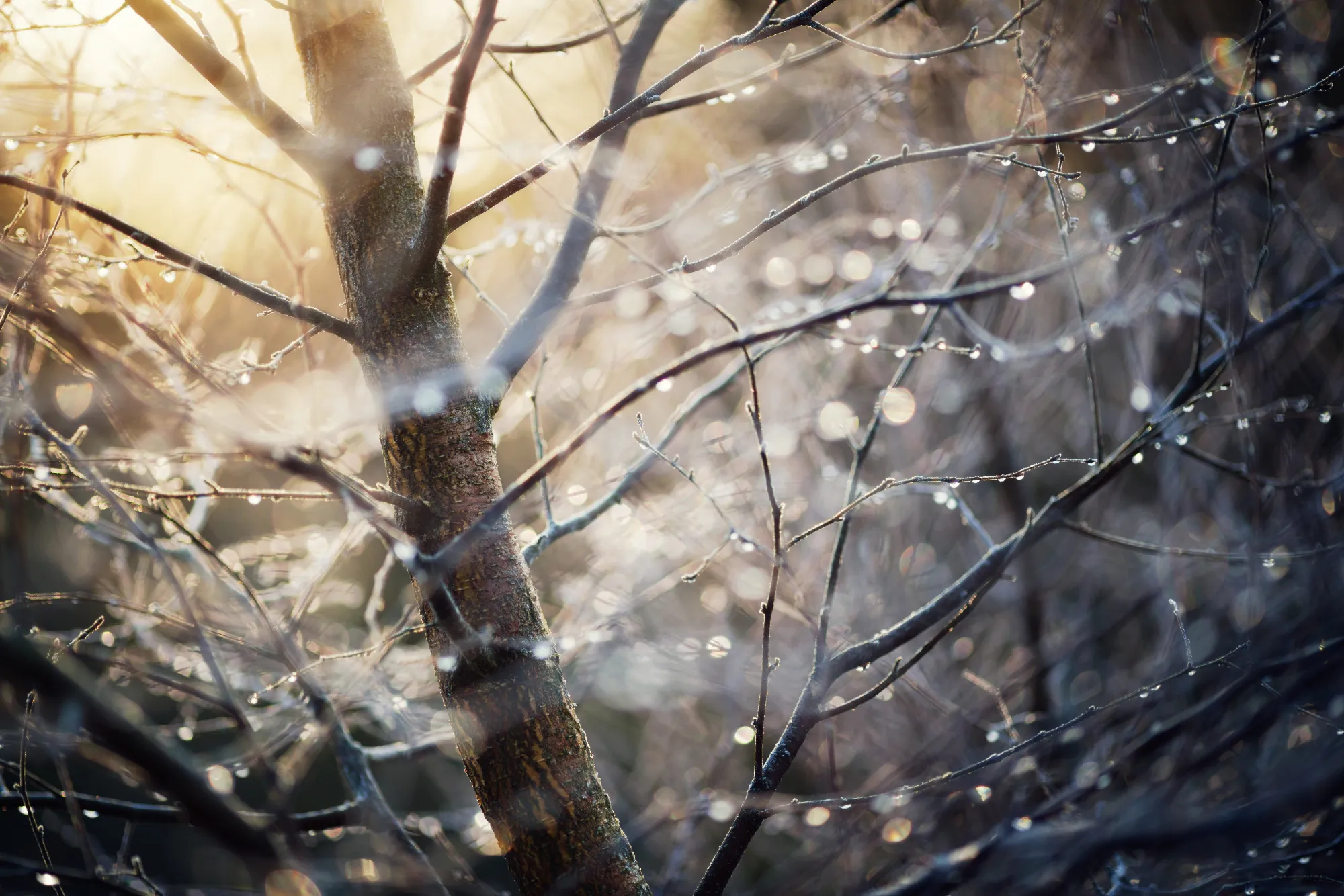 Colour toning