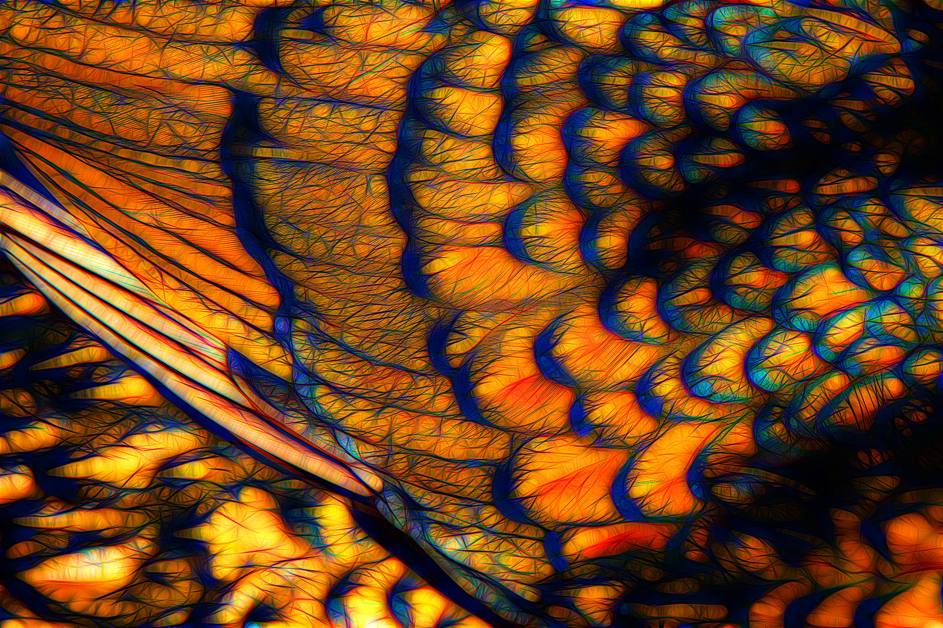 Feathers