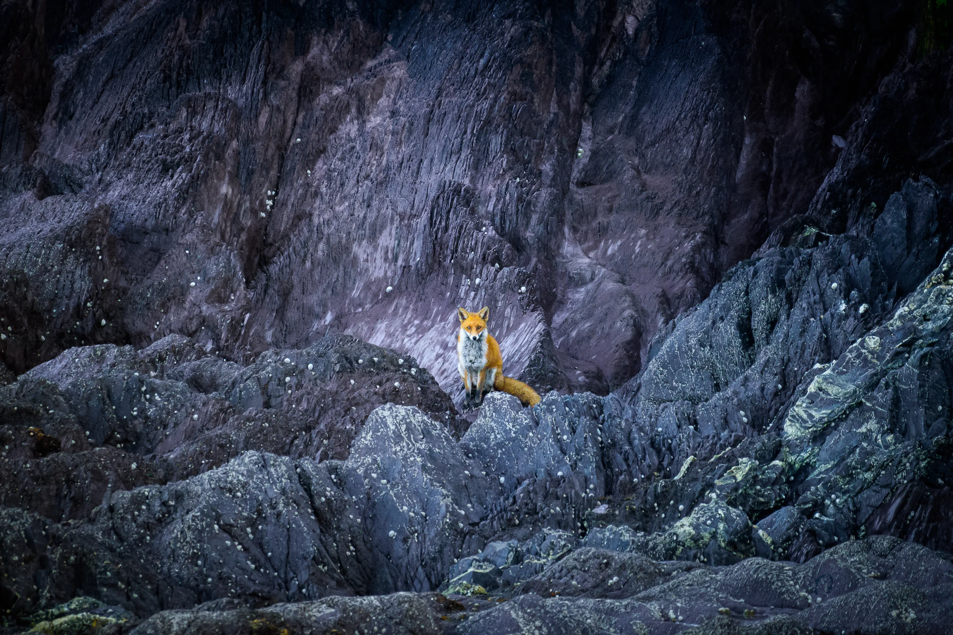 Lone and Outside