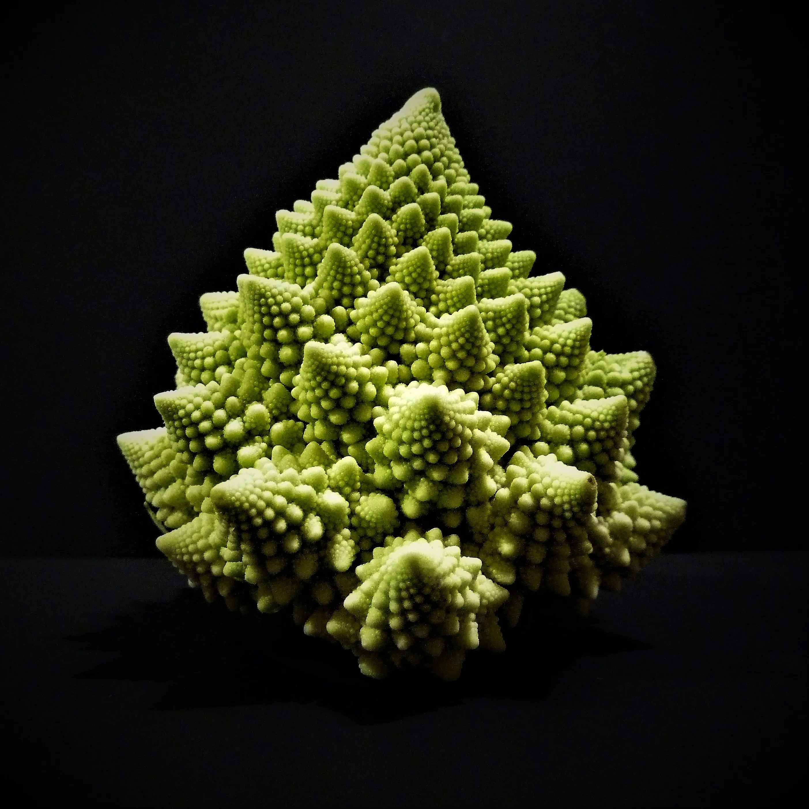 Green Objects with a Black Background