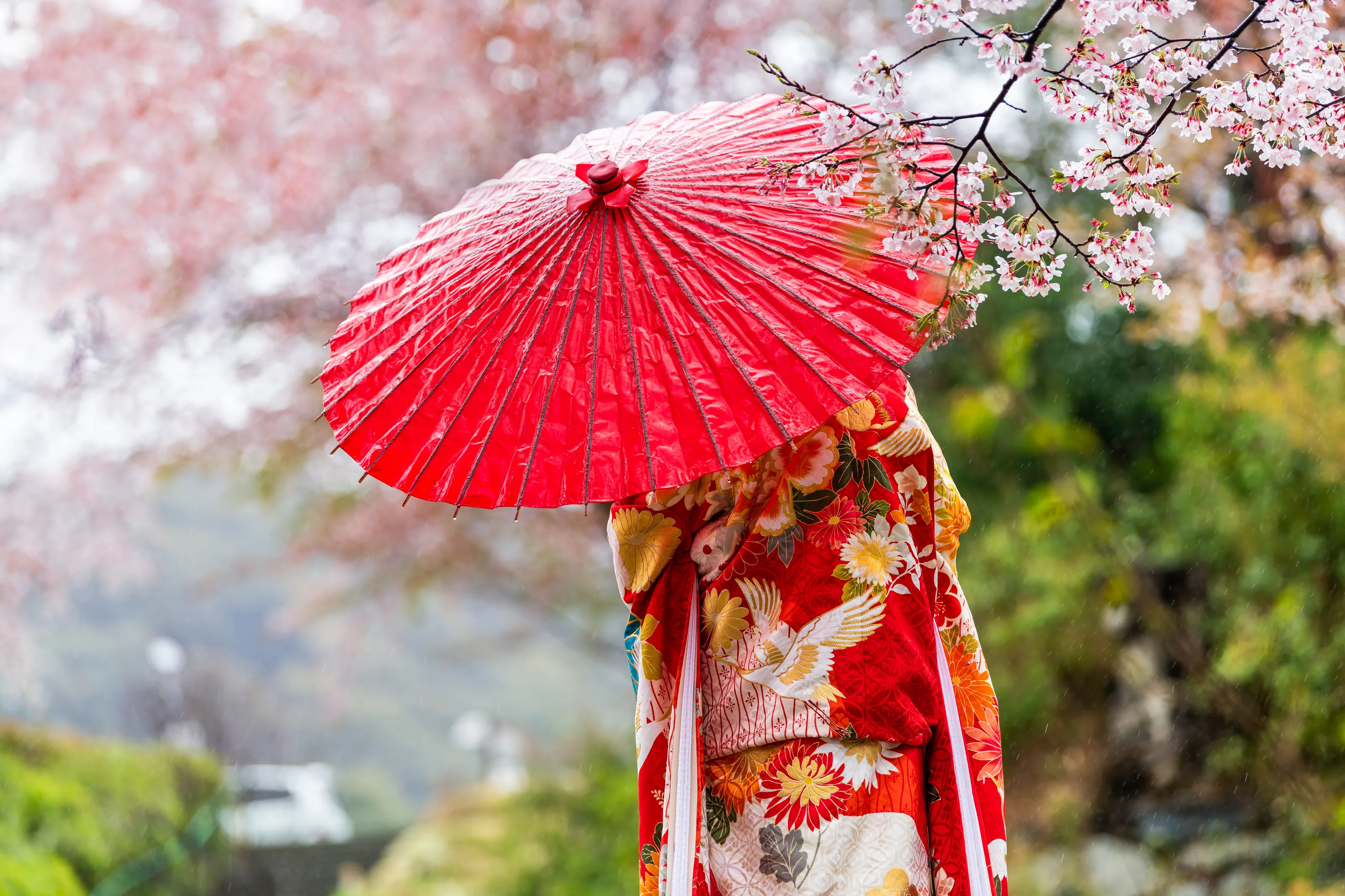 Red Umbrellas