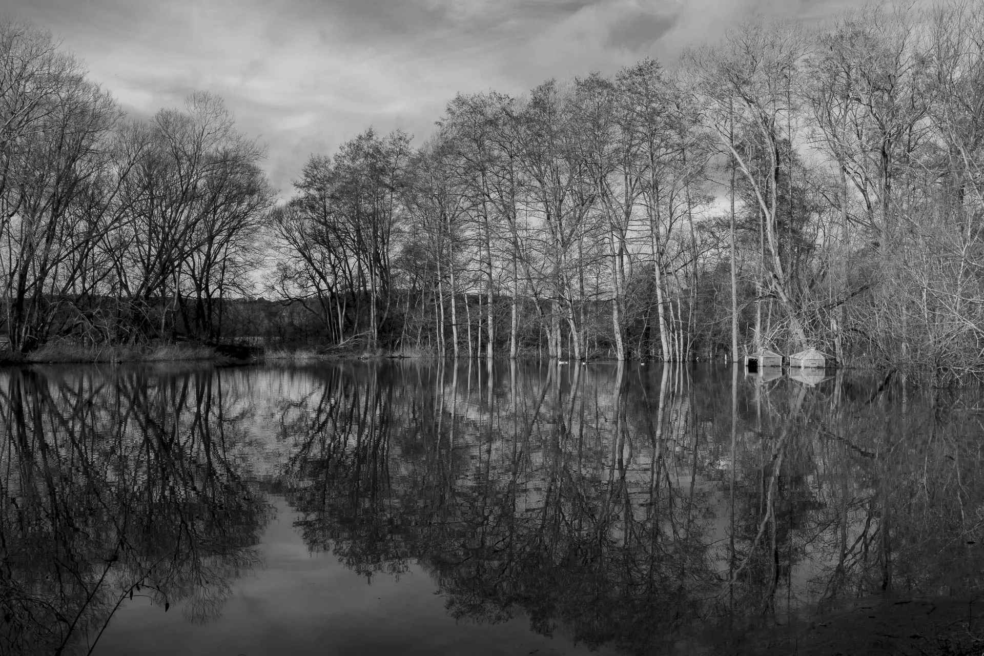 Reflections