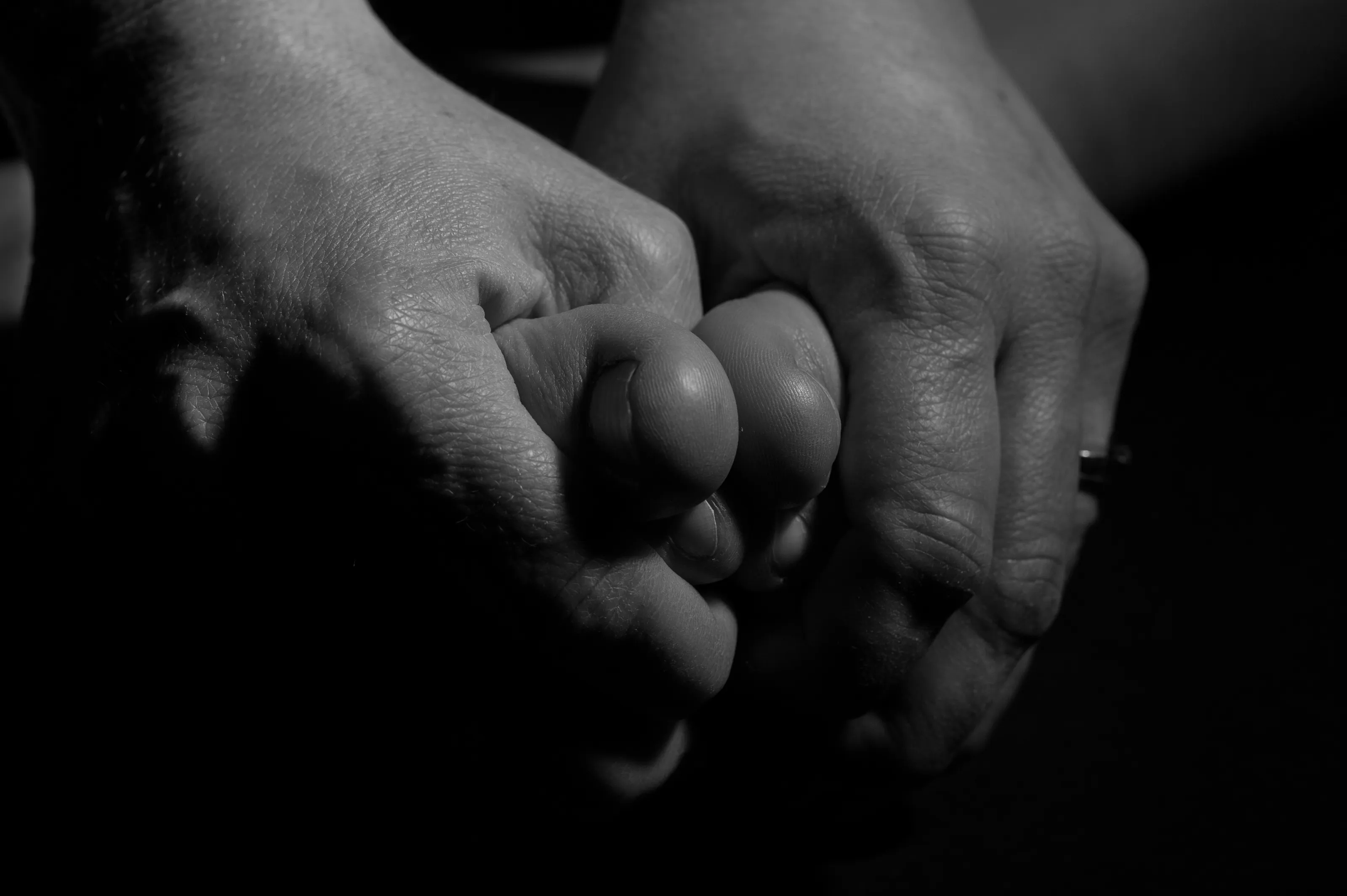 Human Hands and Feet (in black and white)