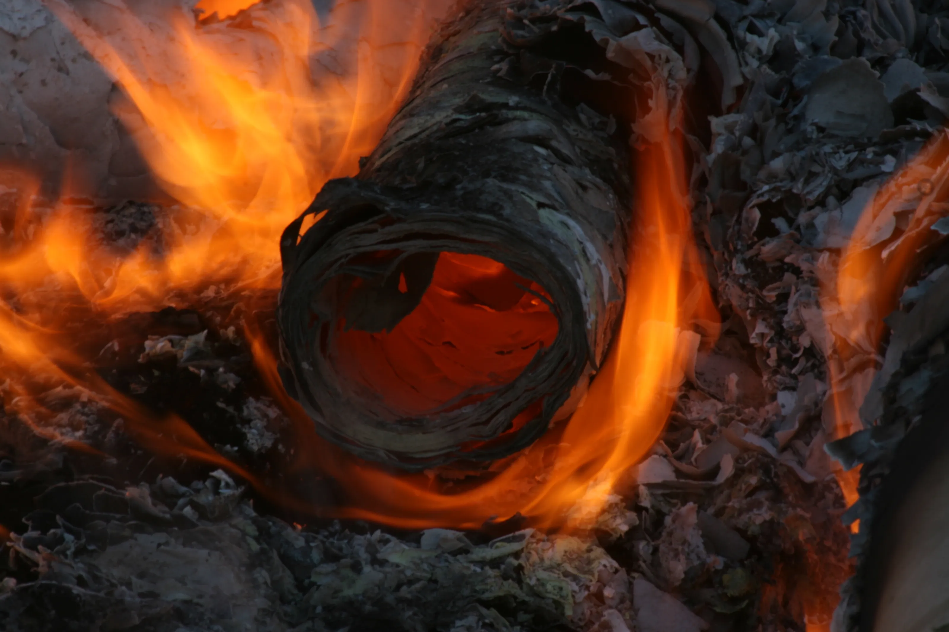 Fire and Flames (in colour)