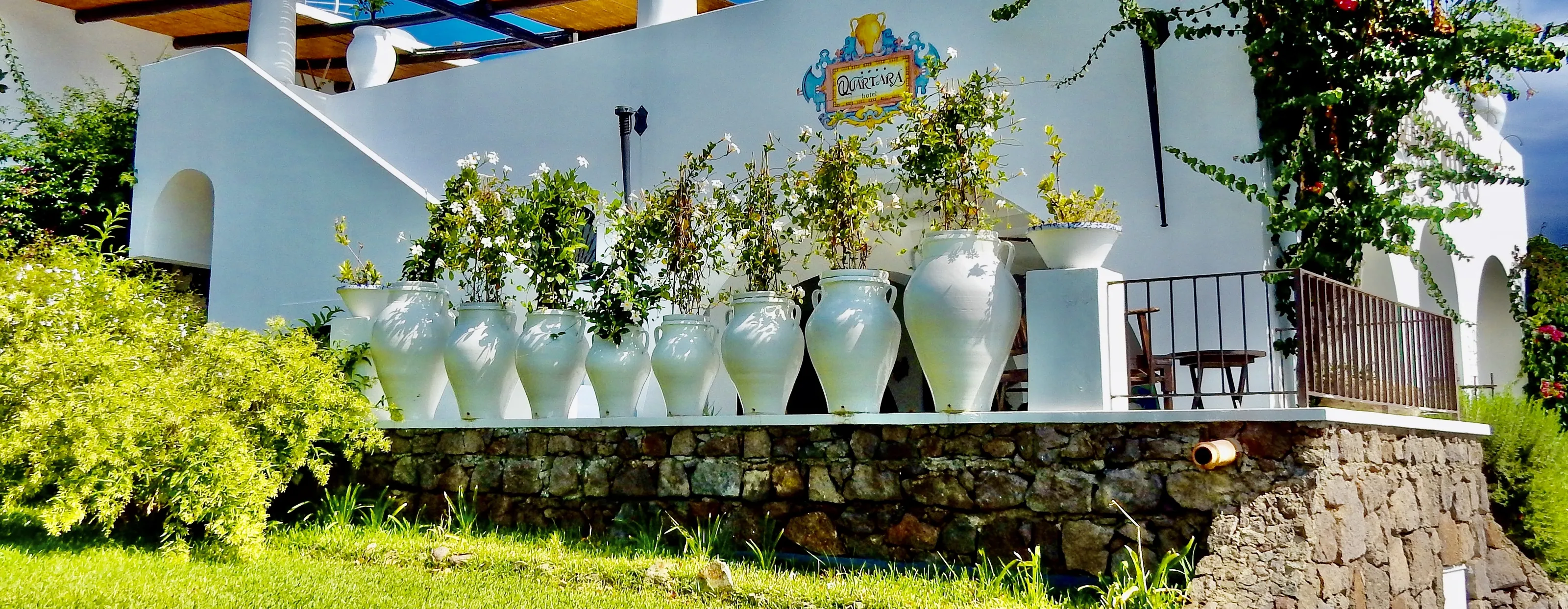 Pots and Planters