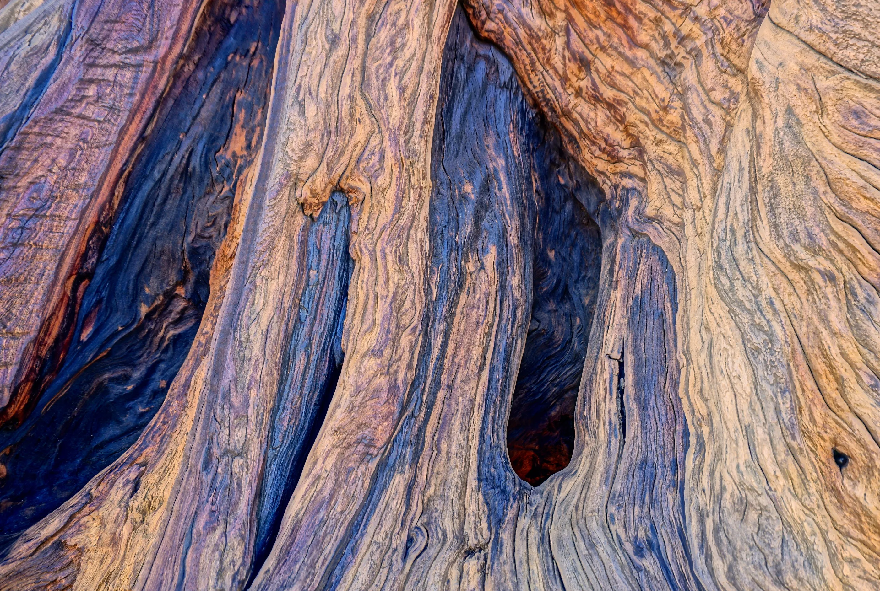 Macro abstracts