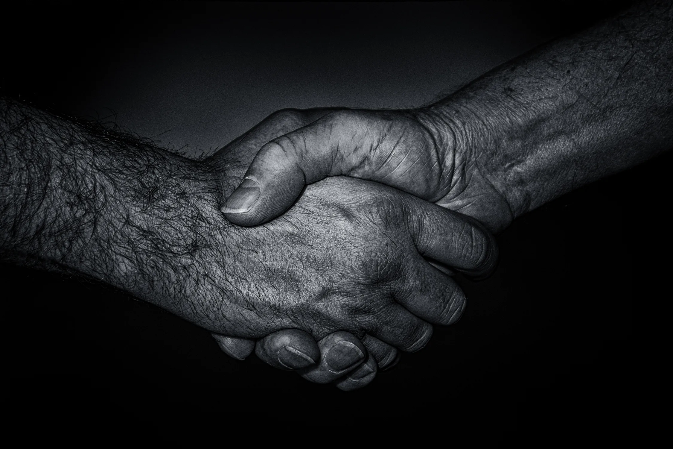 Human Hands or Feet