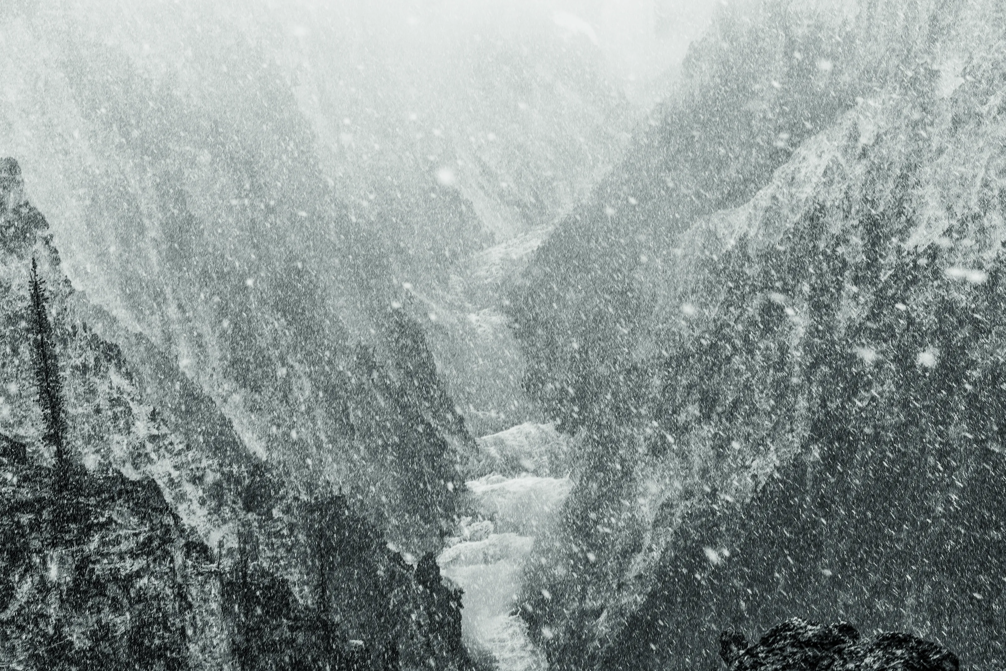 Snow Falling