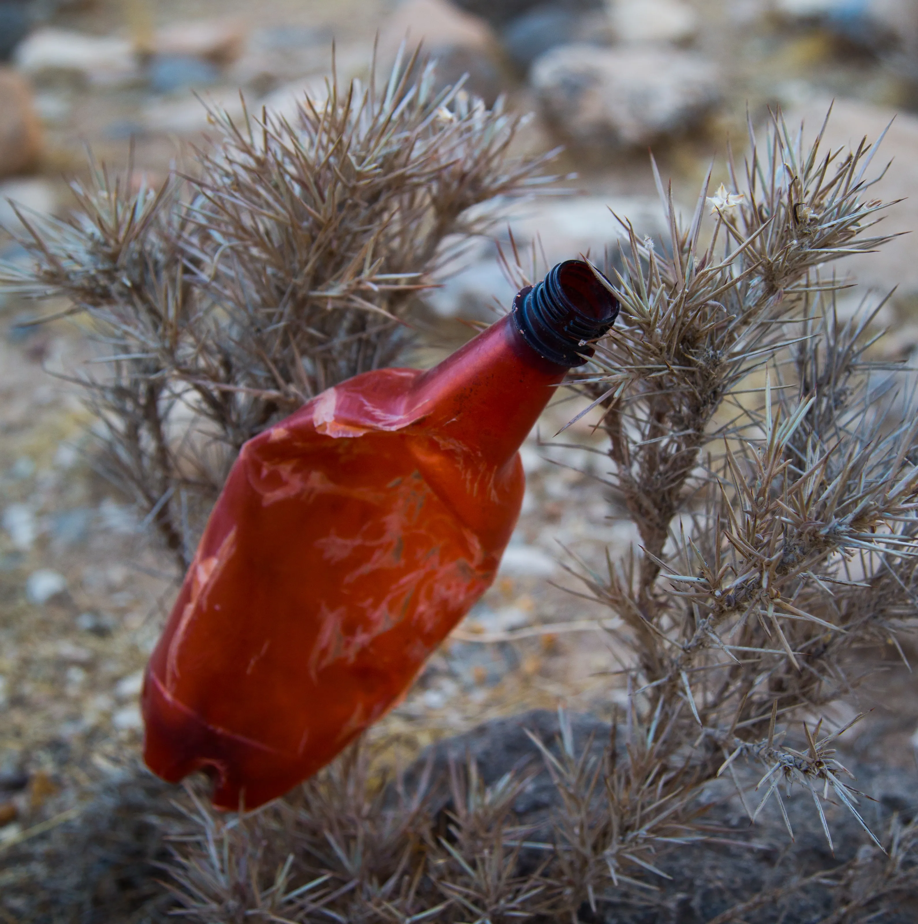 Plastic Pollution
